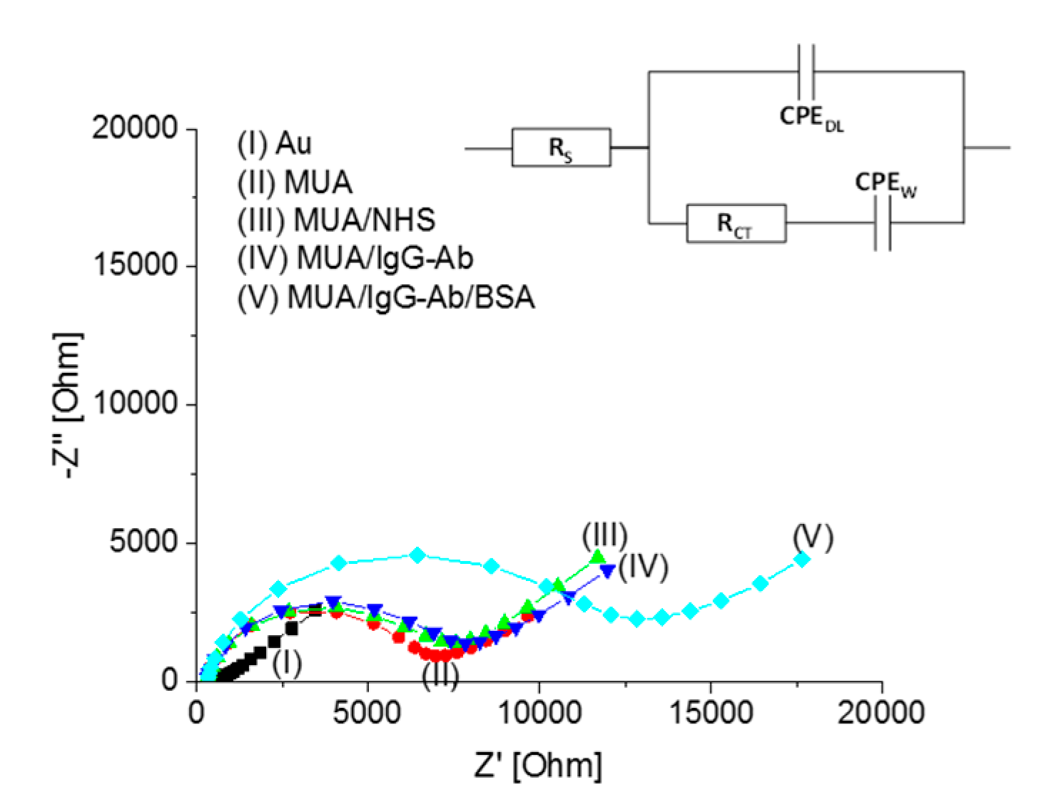 Proceedings 01 00534 g001