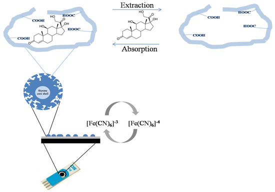 Cortisol Stress Biosensor Based on Molecular Imprinted Polymer