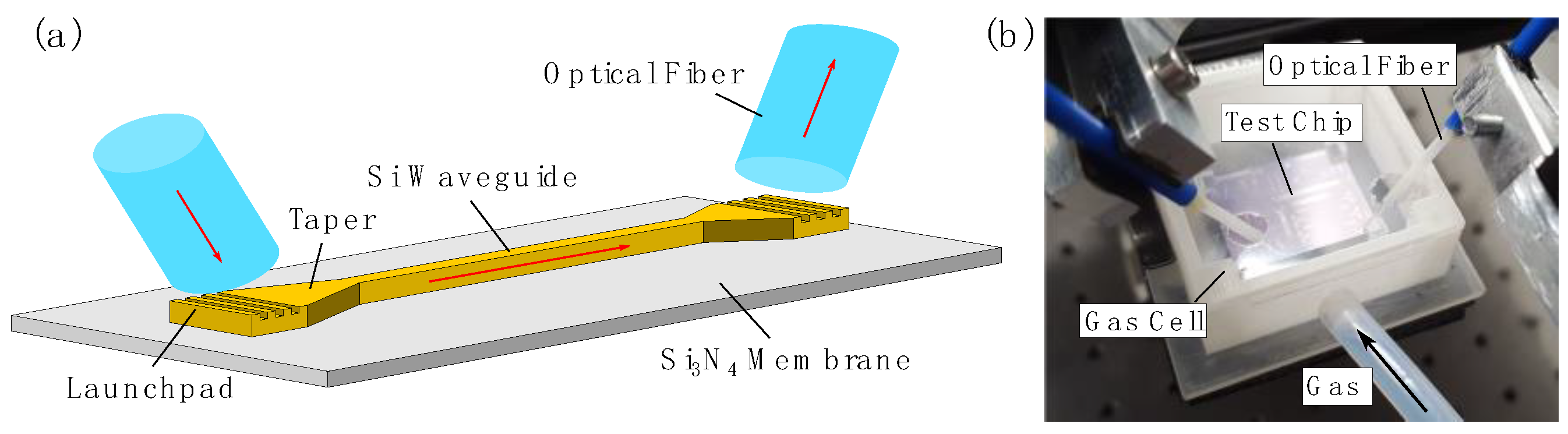 Proceedings 01 00547 g001 550