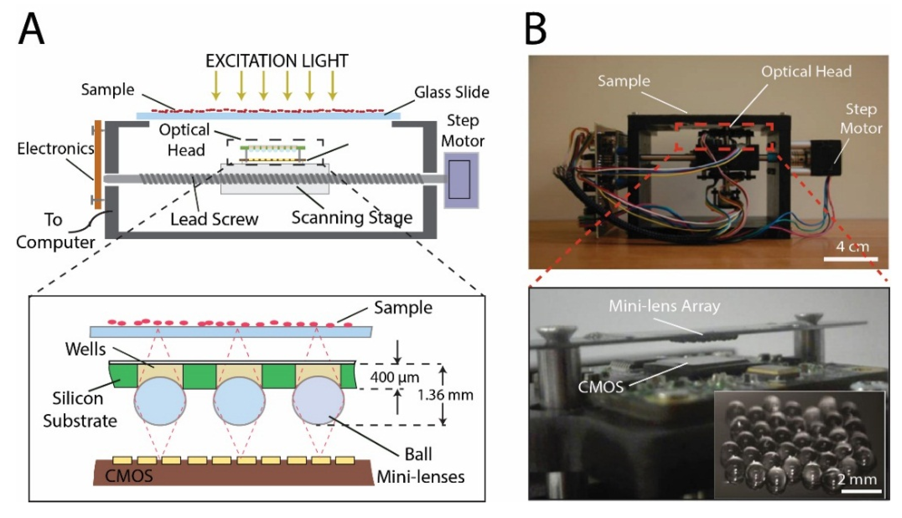 Proceedings 01 00548 g001