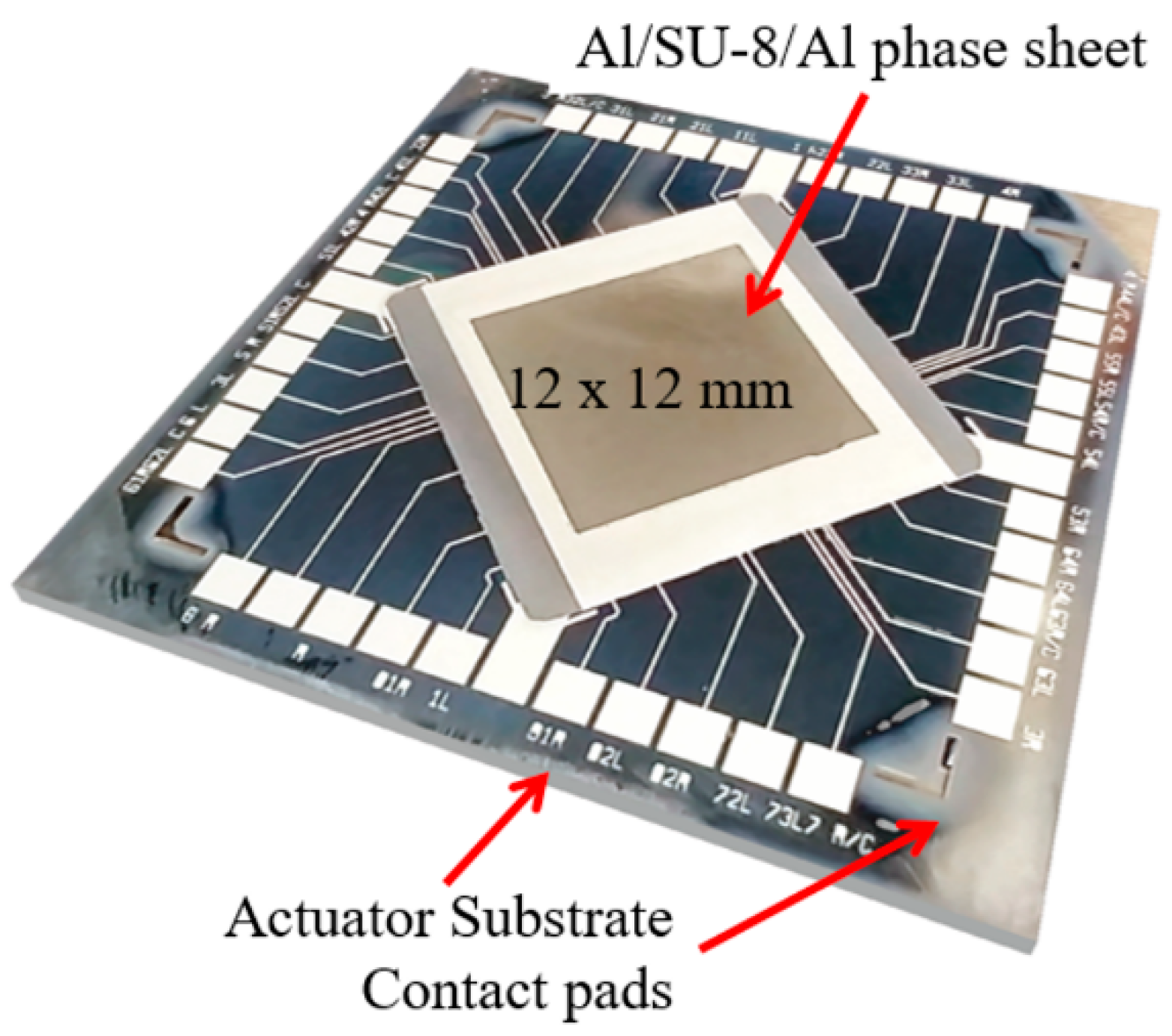 Proceedings 01 00554 g003