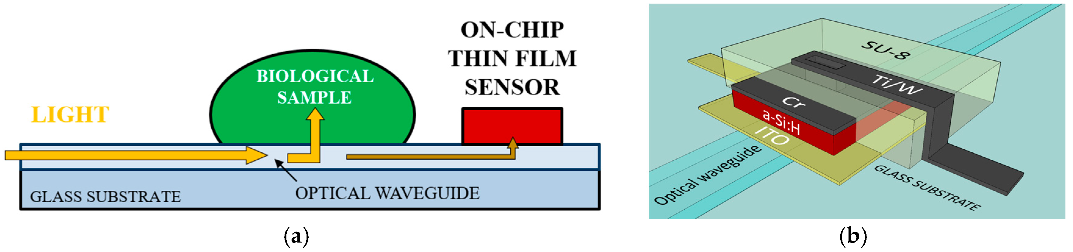 Proceedings 01 00562 g001