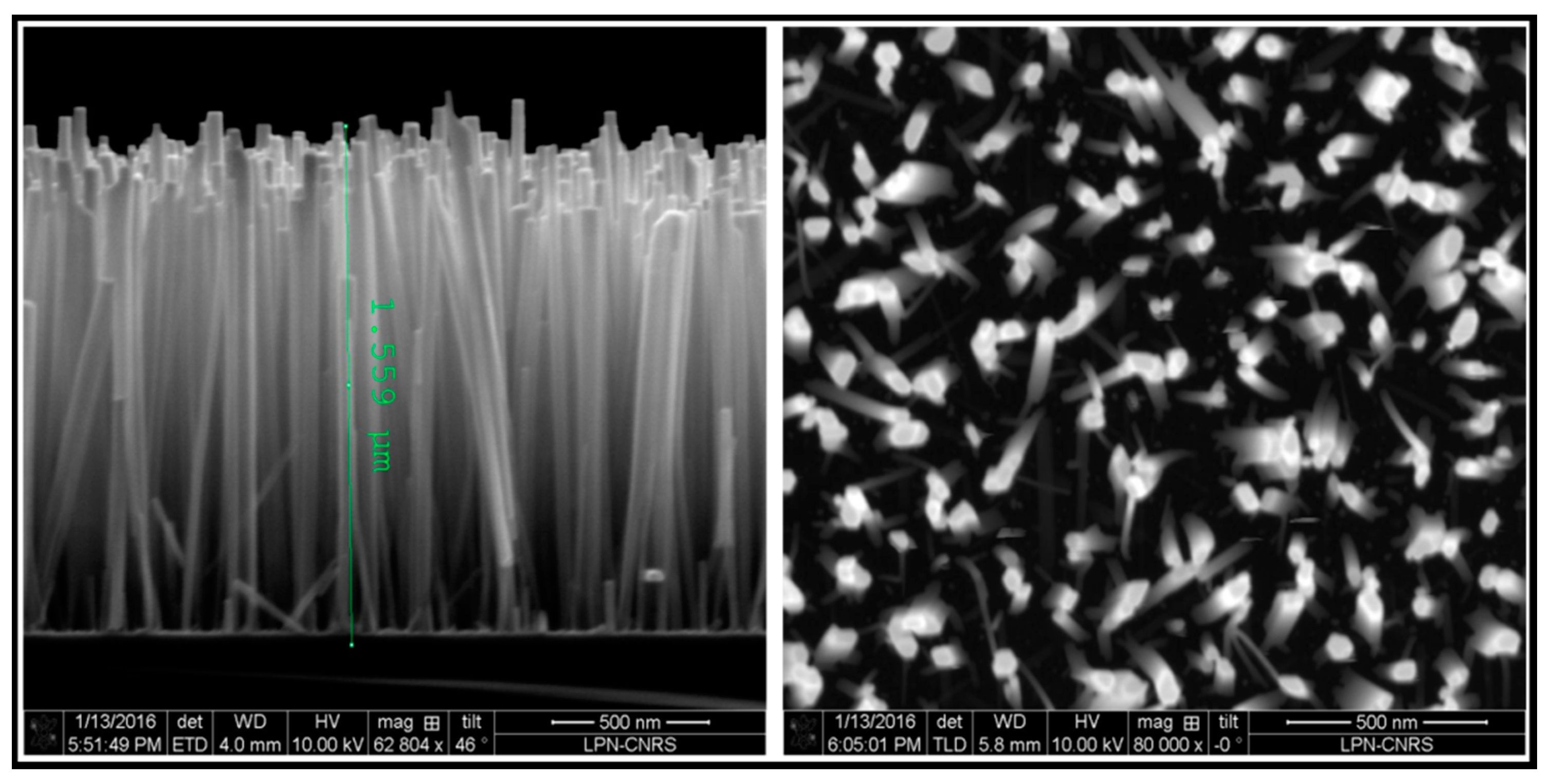 Proceedings 01 00587 g001