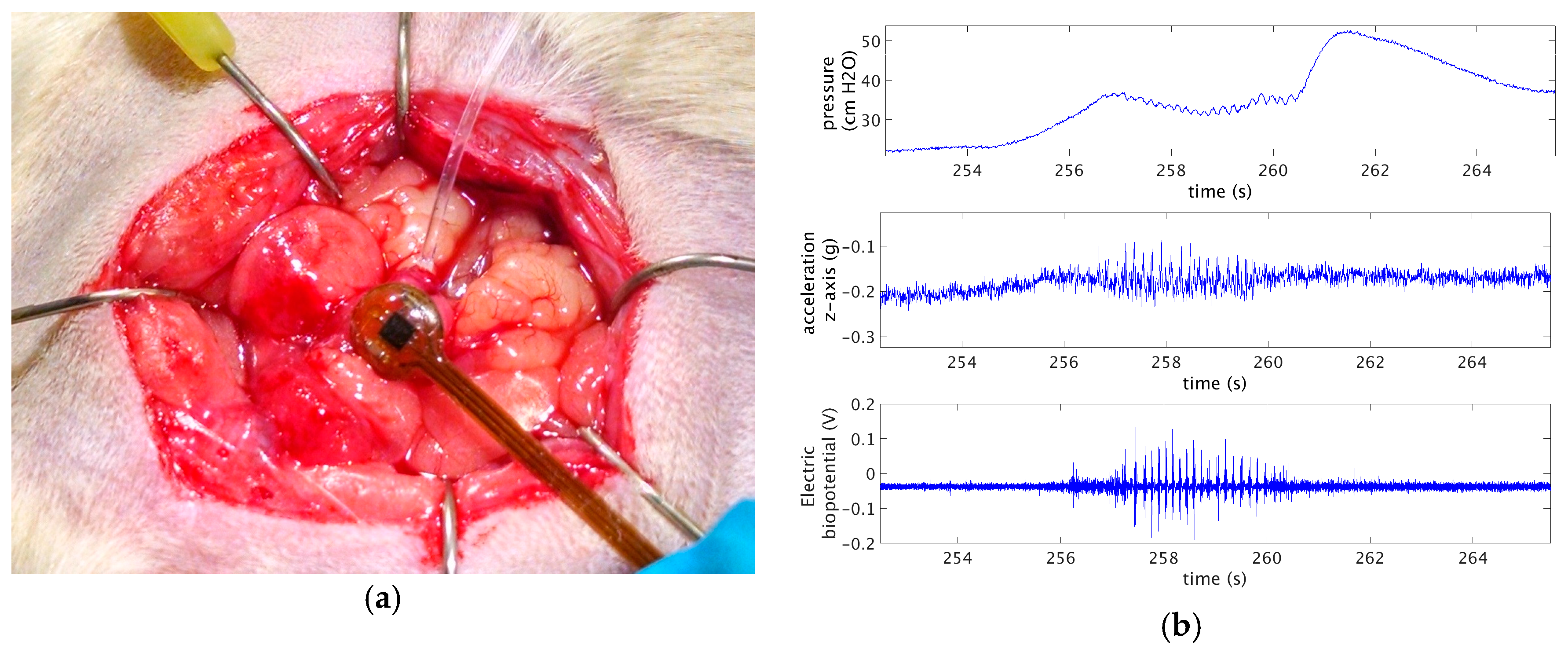 Proceedings 01 00605 g004 550