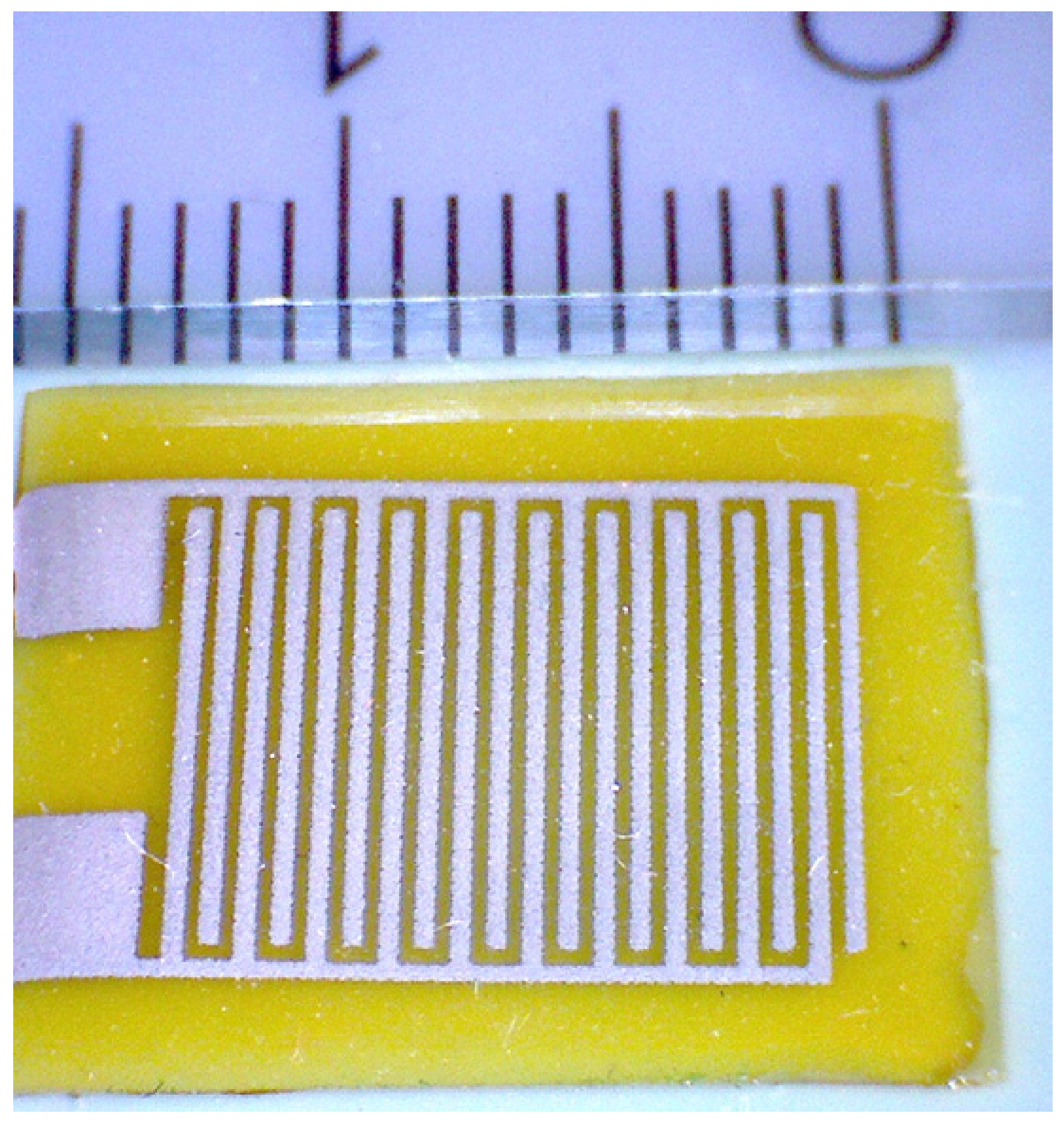 Proceedings 01 00612 g001