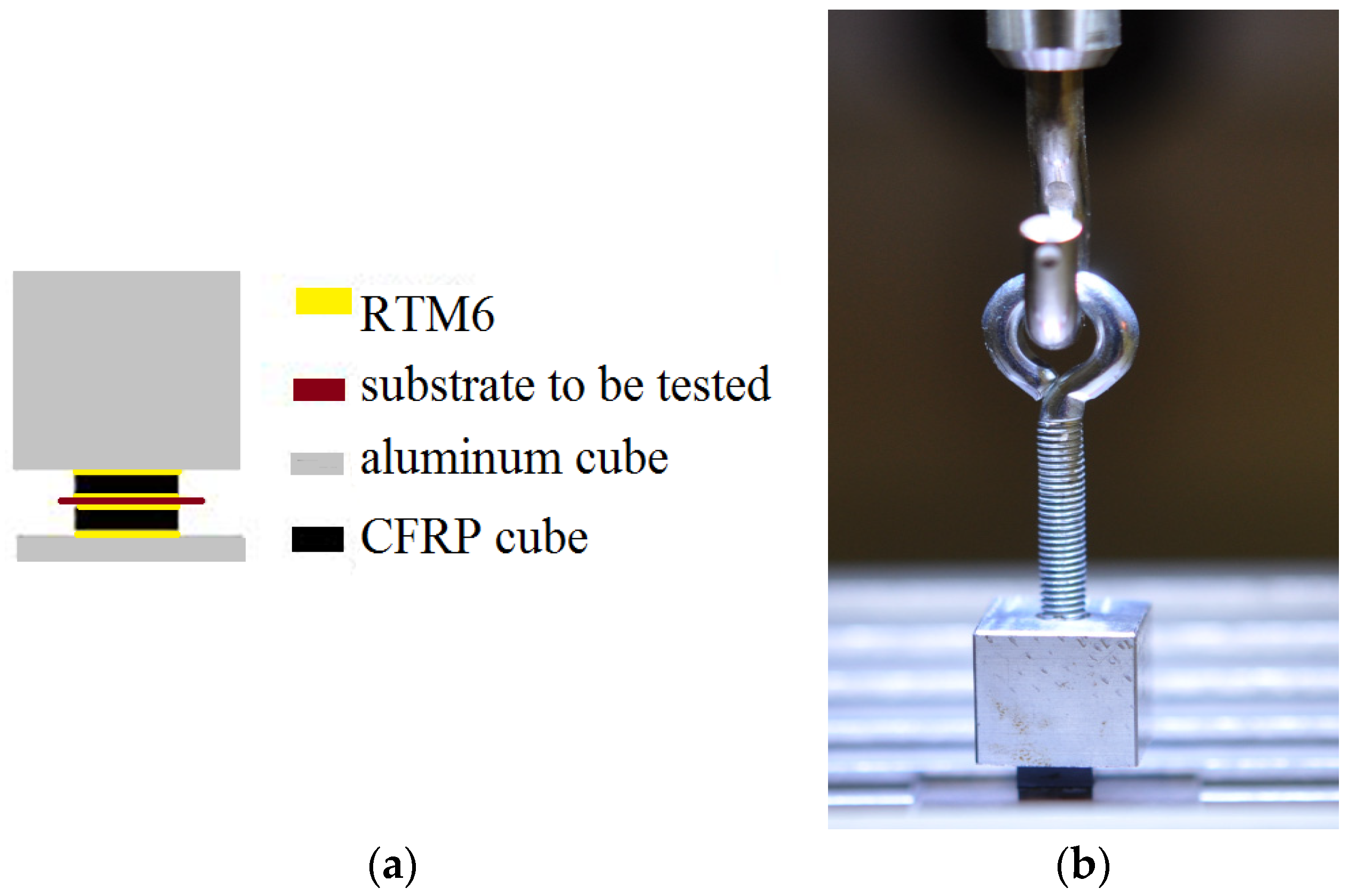 Proceedings 01 00612 g003