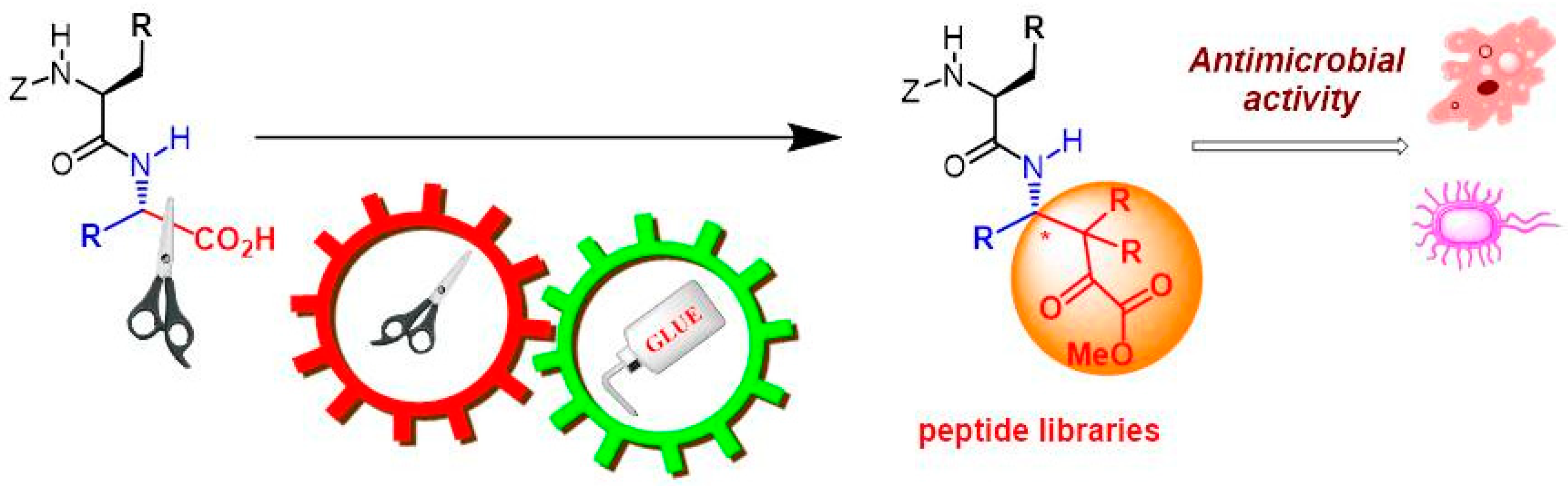 Proceedings 01 00673 g001