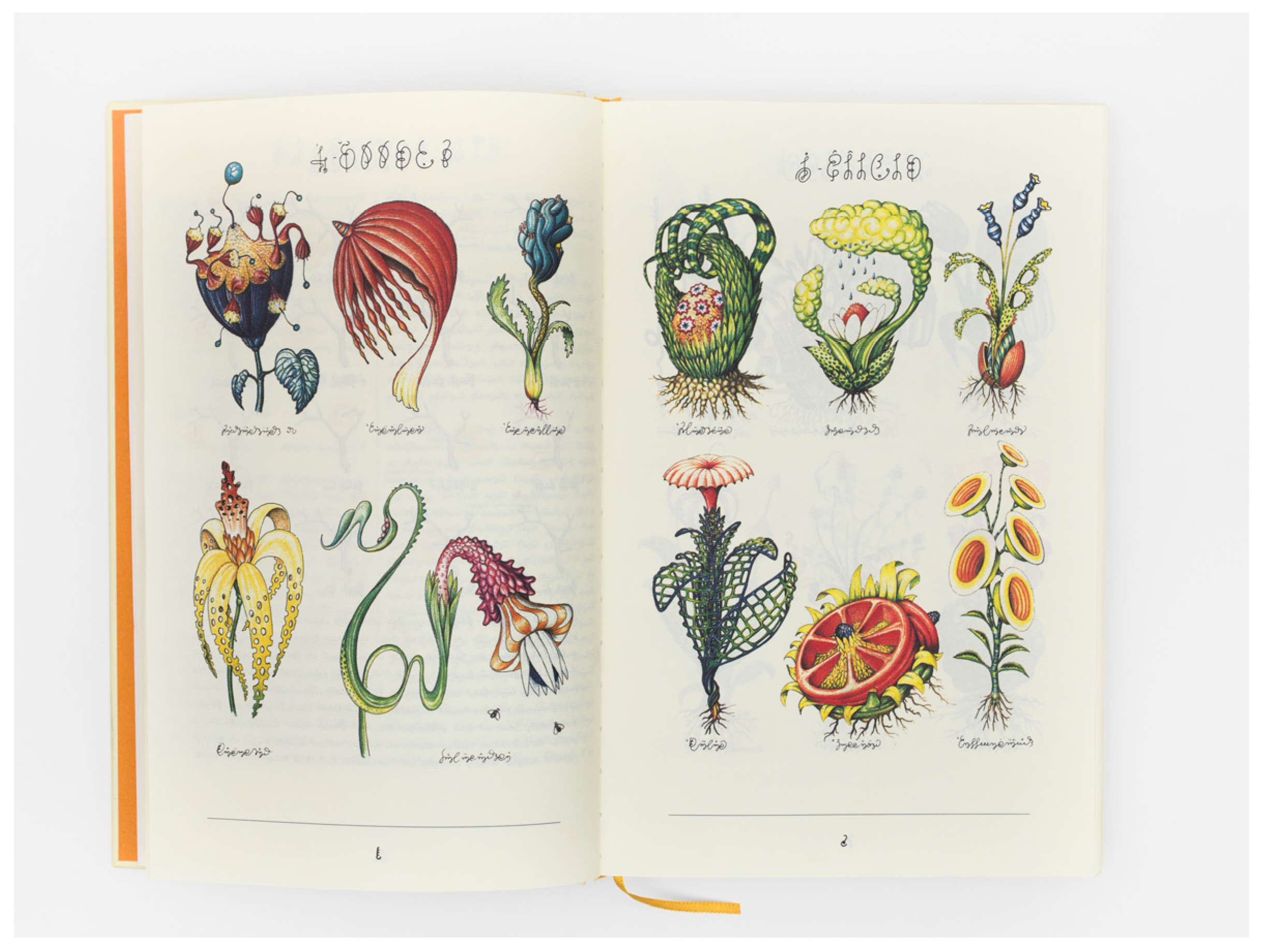 Proceedings 01 00879 g005 550