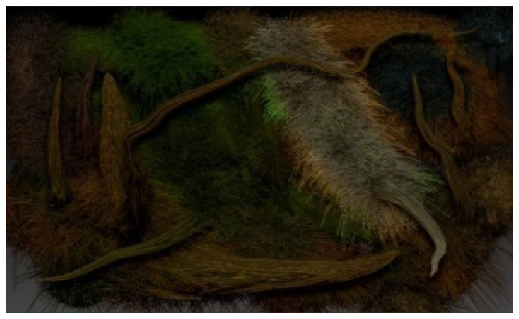 Proceedings 01 00887 g005 550