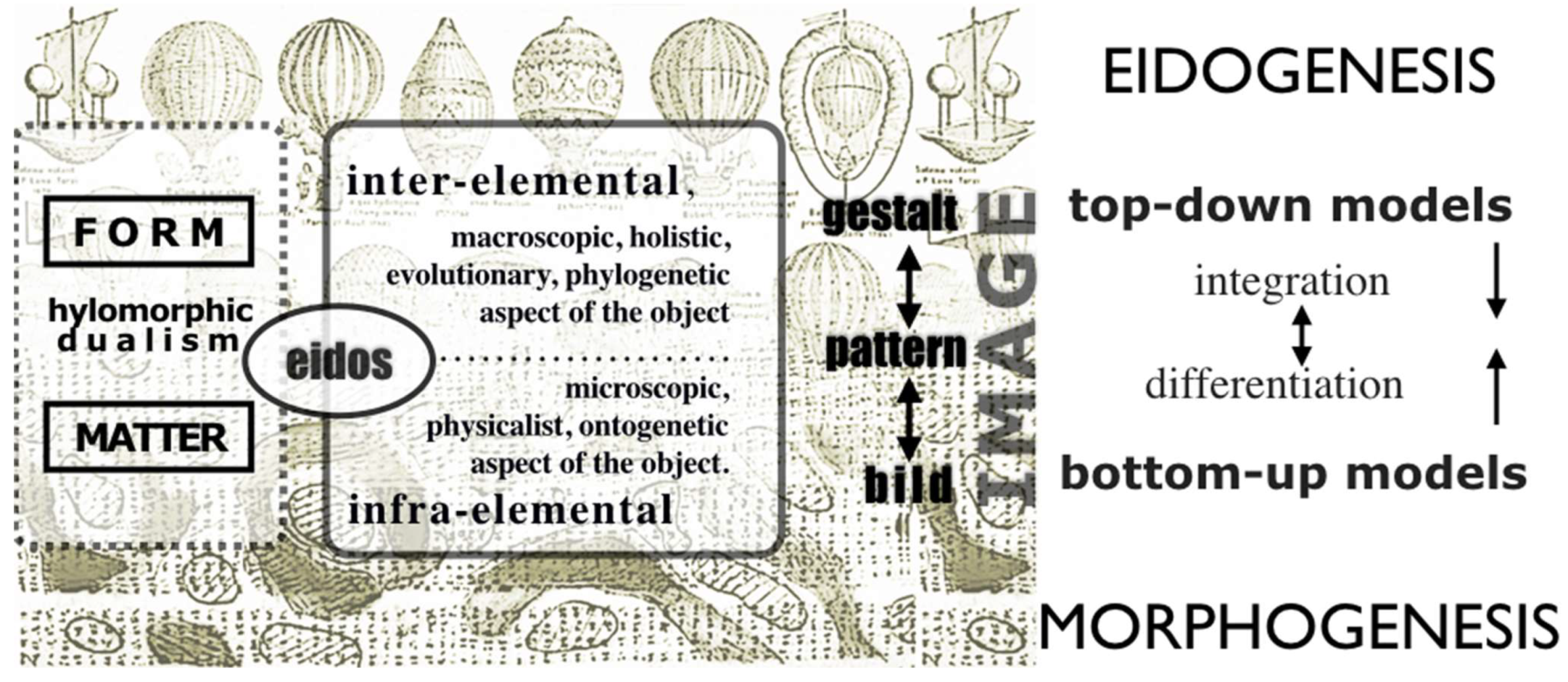 Proceedings 01 00929 g002 550