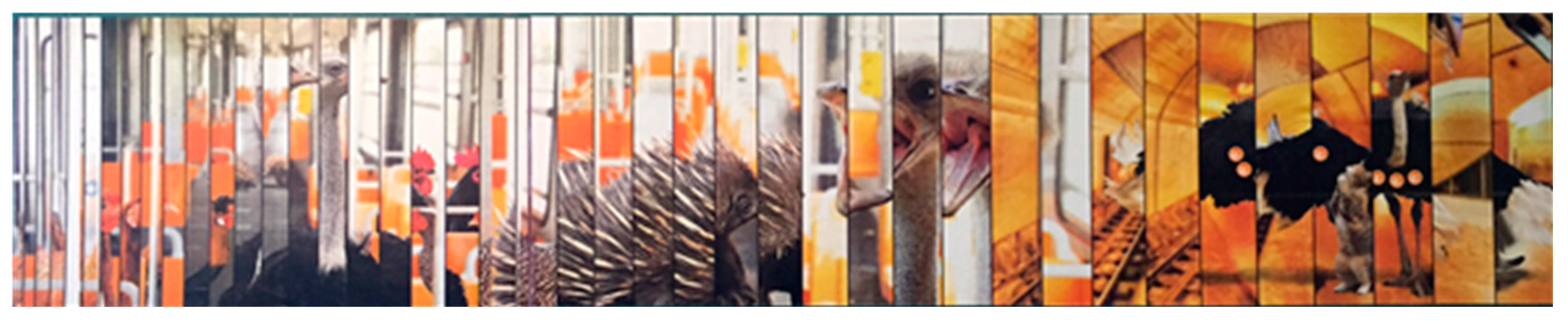 Proceedings 01 00931 g003 550