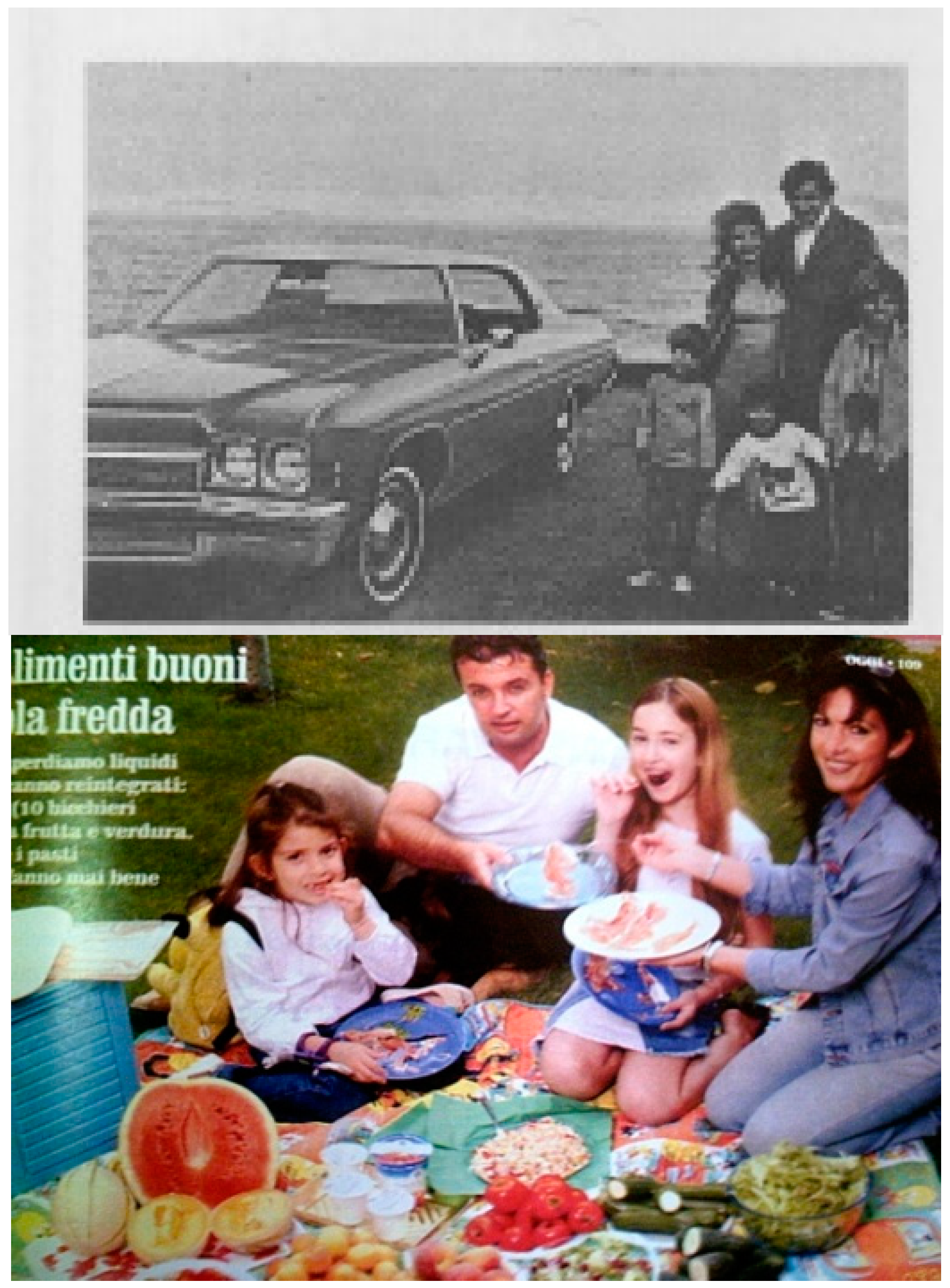 Proceedings 01 00947 g004