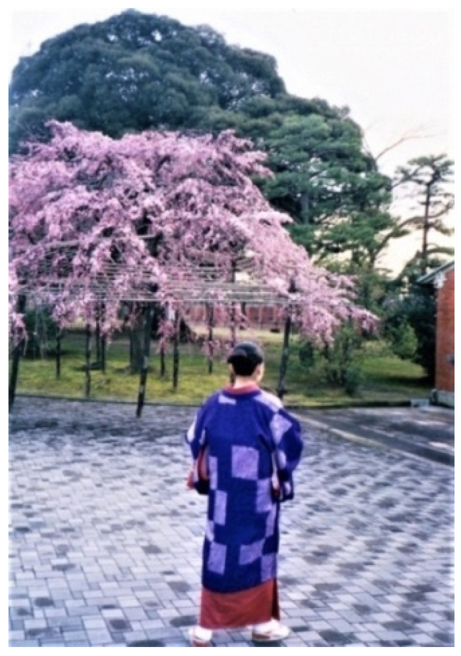 Proceedings 01 01087 g003 550