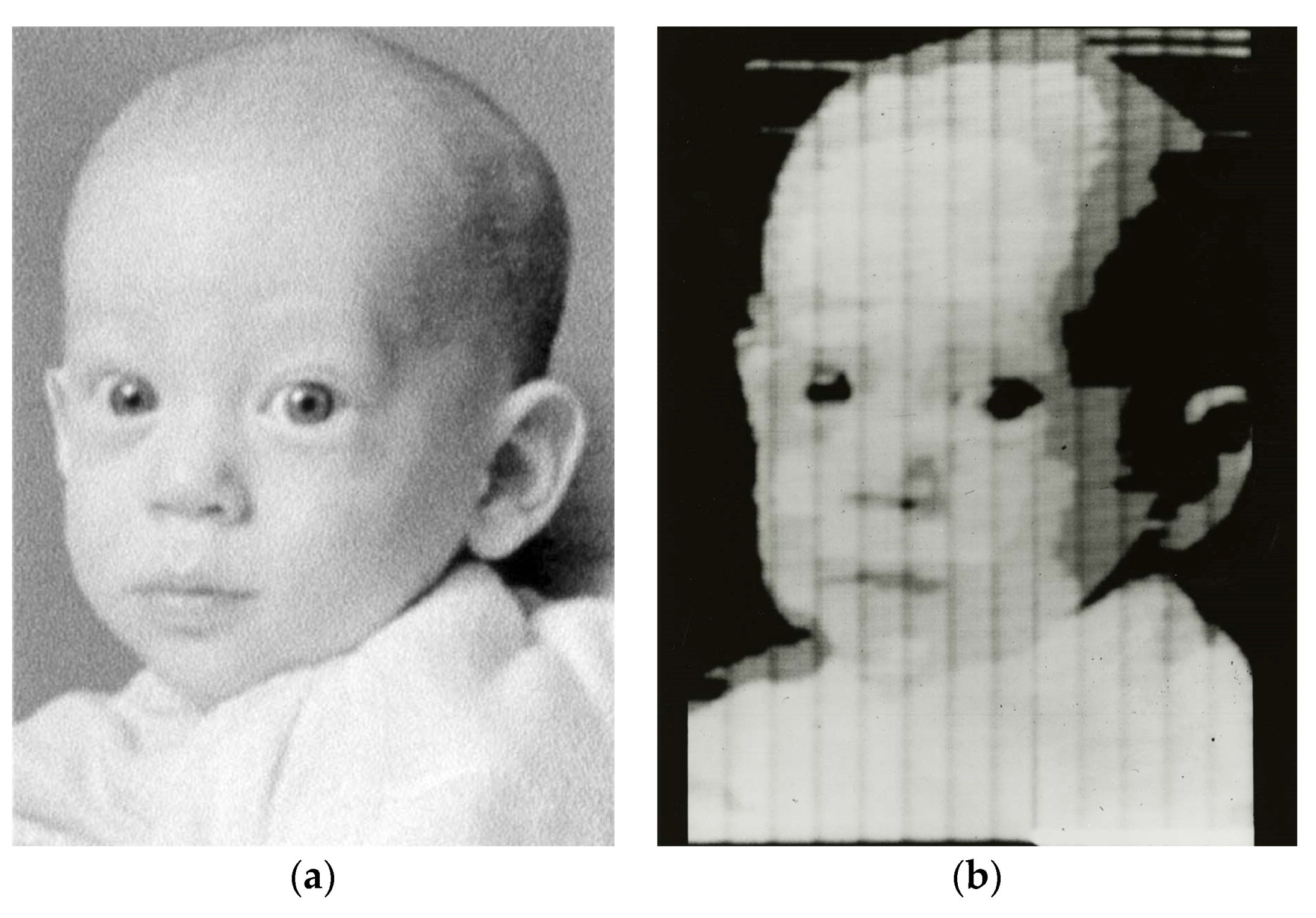 Proceedings 01 01093 g002 550