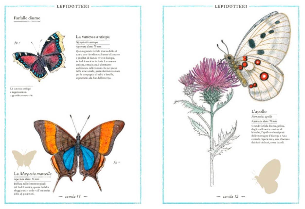 Proceedings 01 01094 g009 550