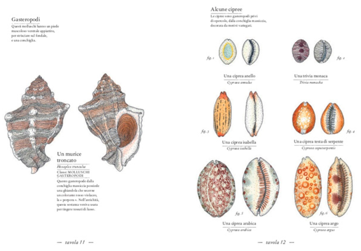 Proceedings 01 01094 g010 550