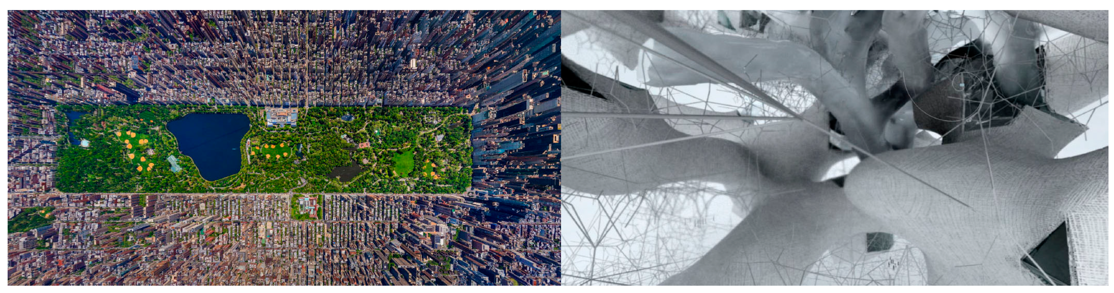 Proceedings 01 01109 g002 550