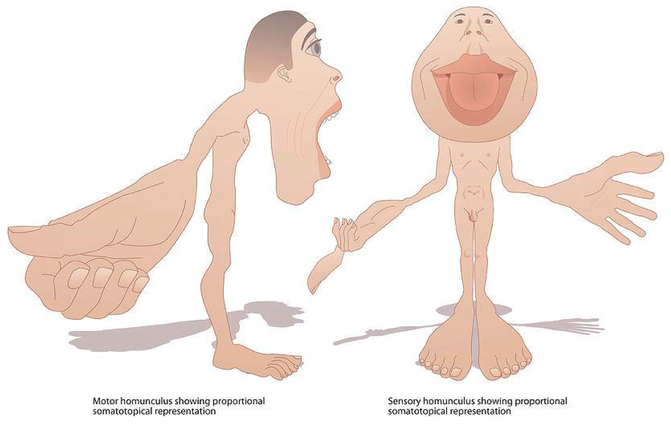Proceedings 01 01115 g011 550