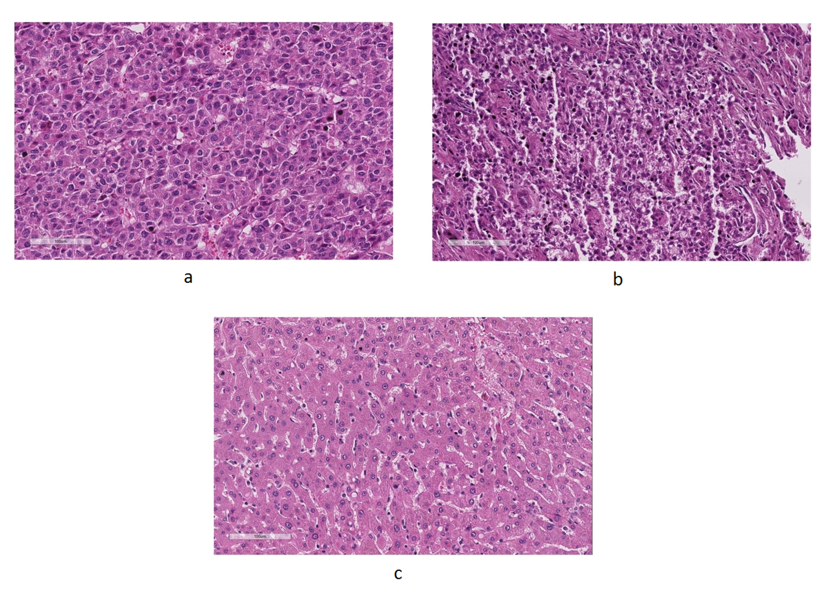 Proceedings 02 00094 g003 550