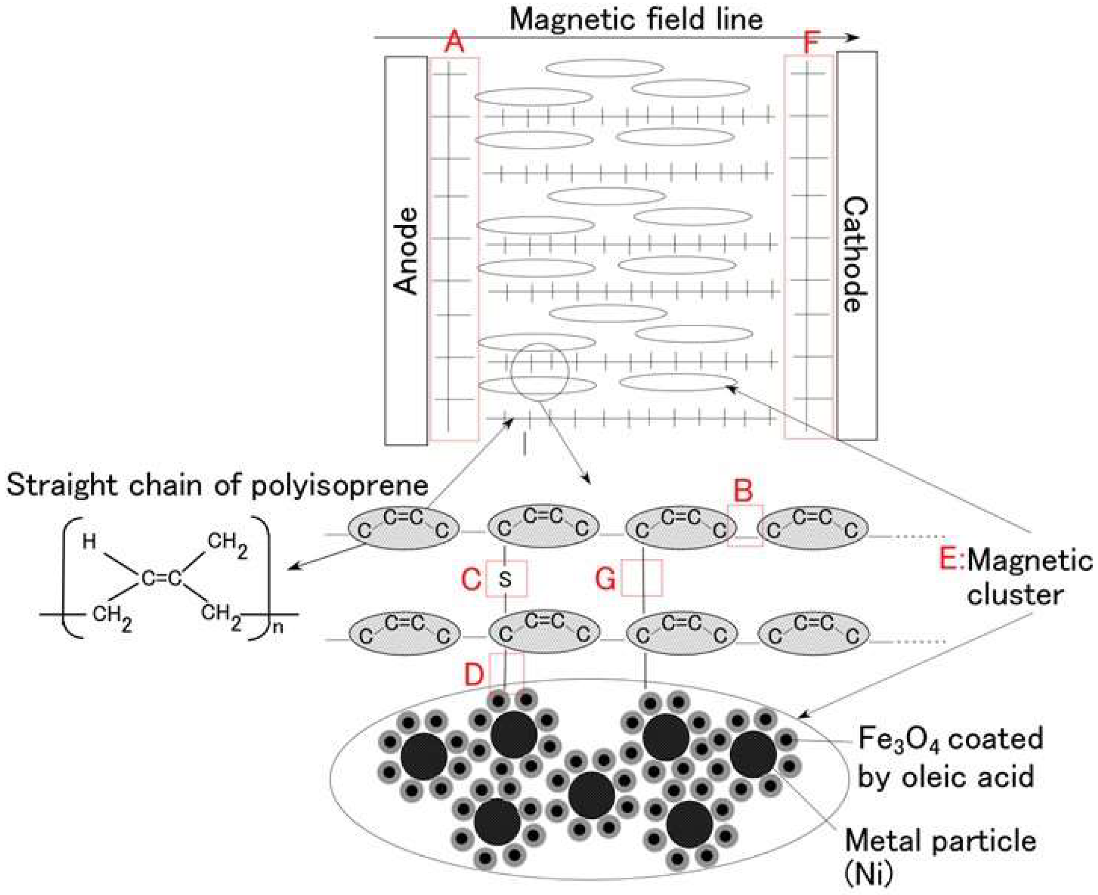 Proceedings 02 00112 g001