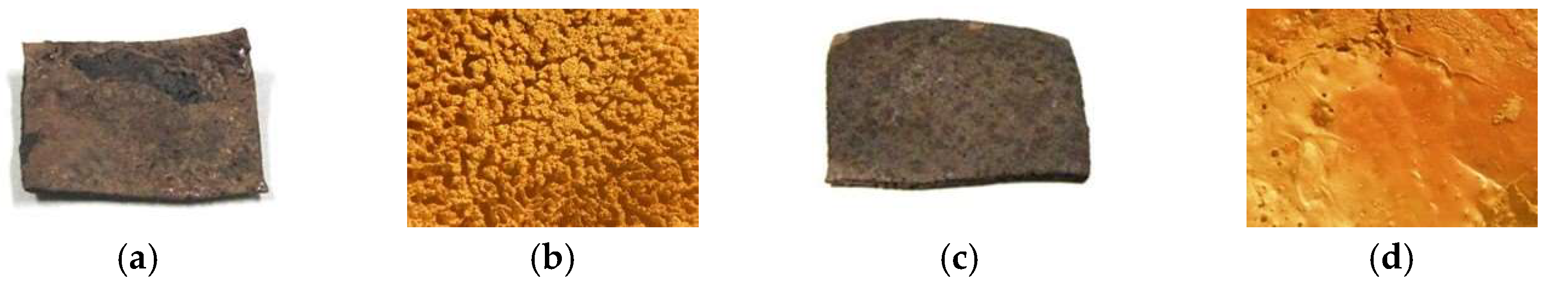 Proceedings 02 00112 g003