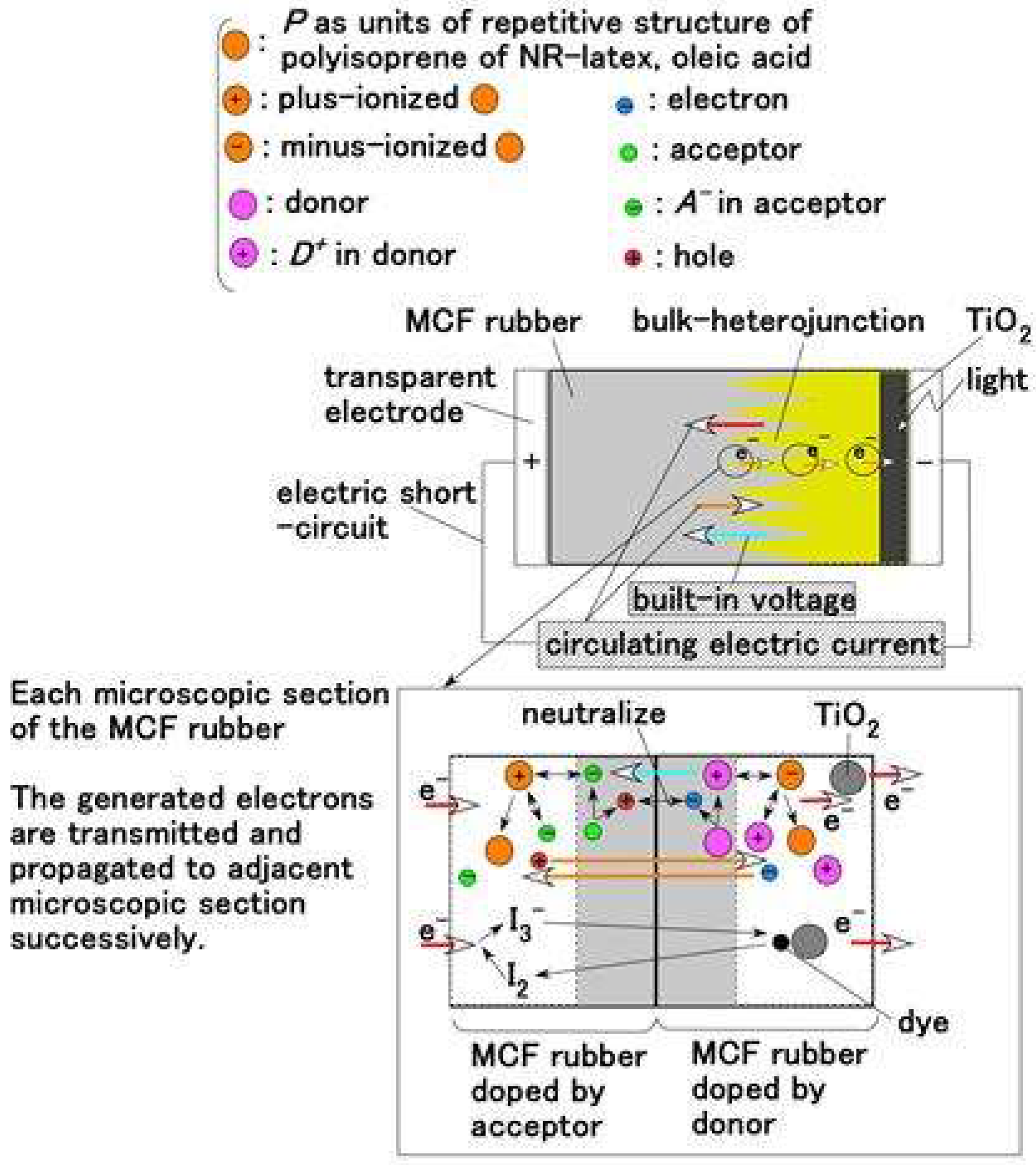 Proceedings 02 00112 g005