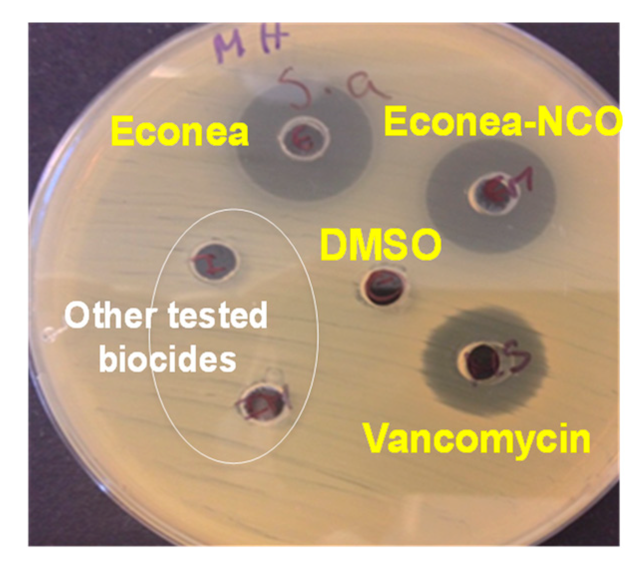 Proceedings 02 00181 g002 550