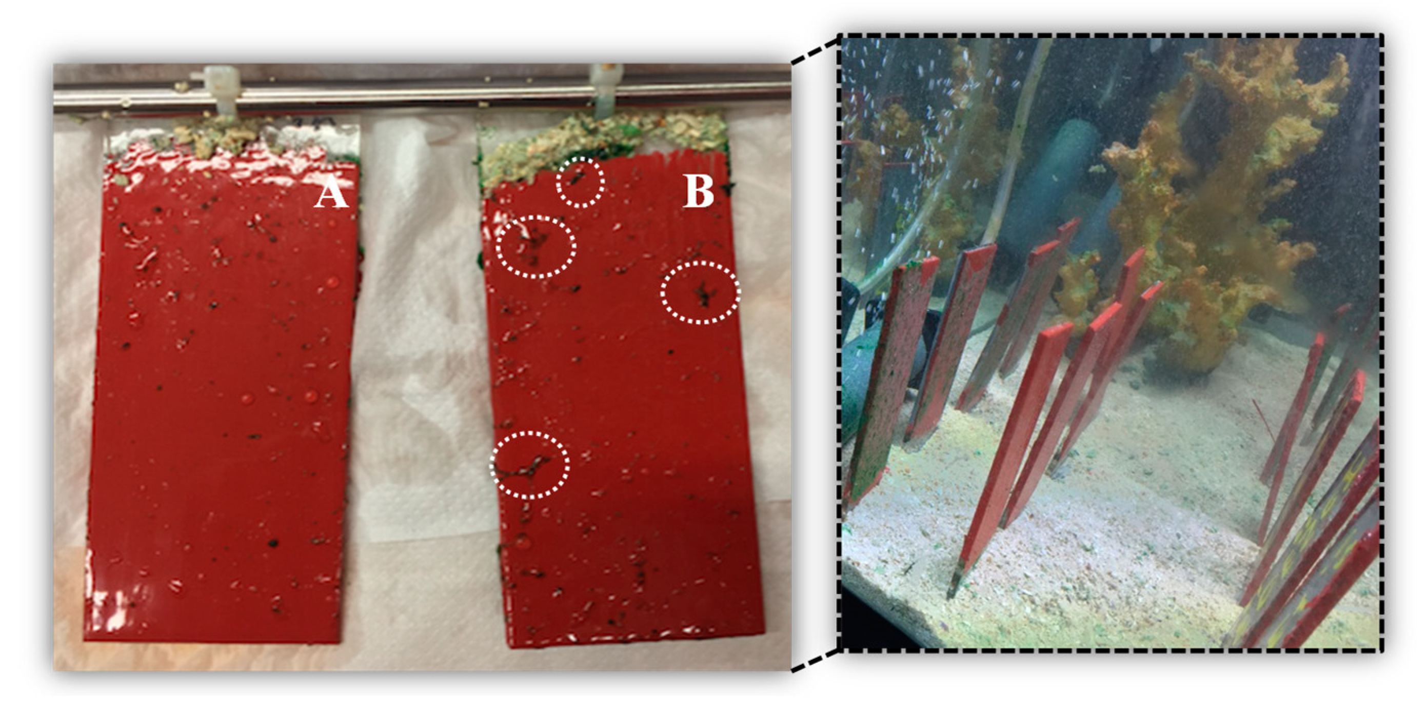 Proceedings 02 00181 g003 550