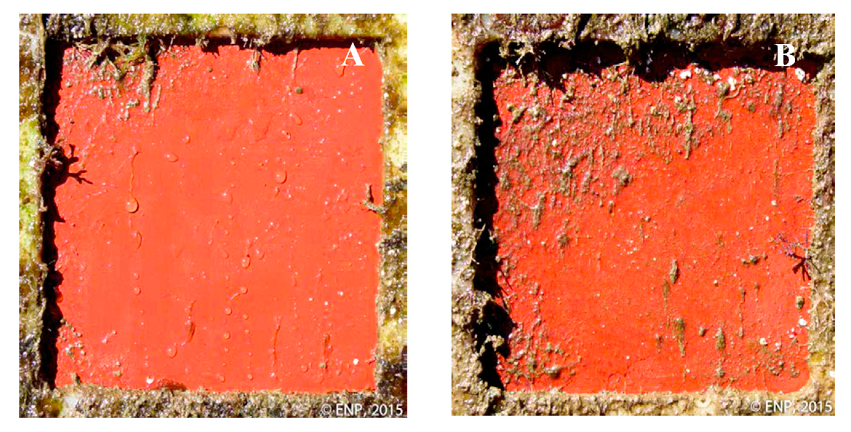 Proceedings 02 00181 g004 550