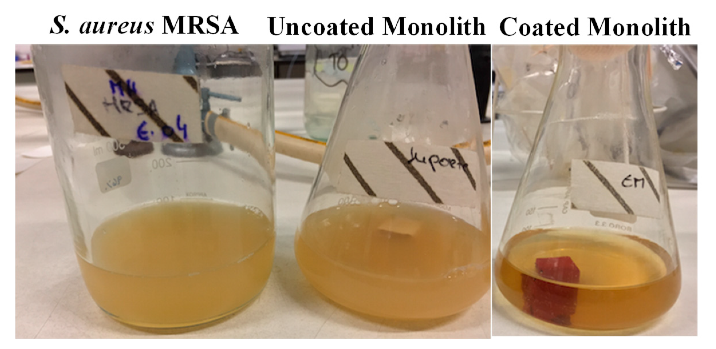 Proceedings 02 00181 g006 550