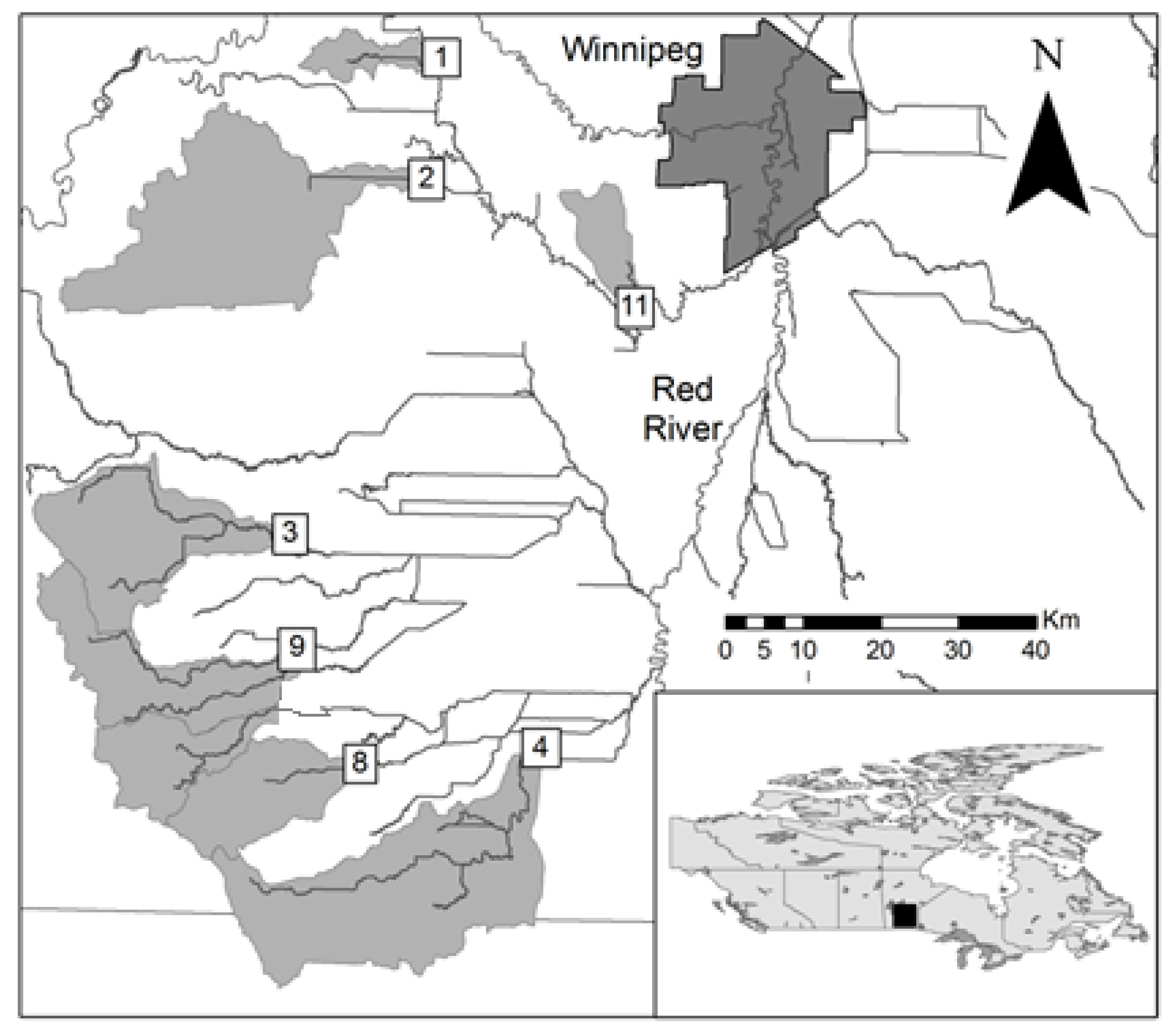 Proceedings 02 00183 g001