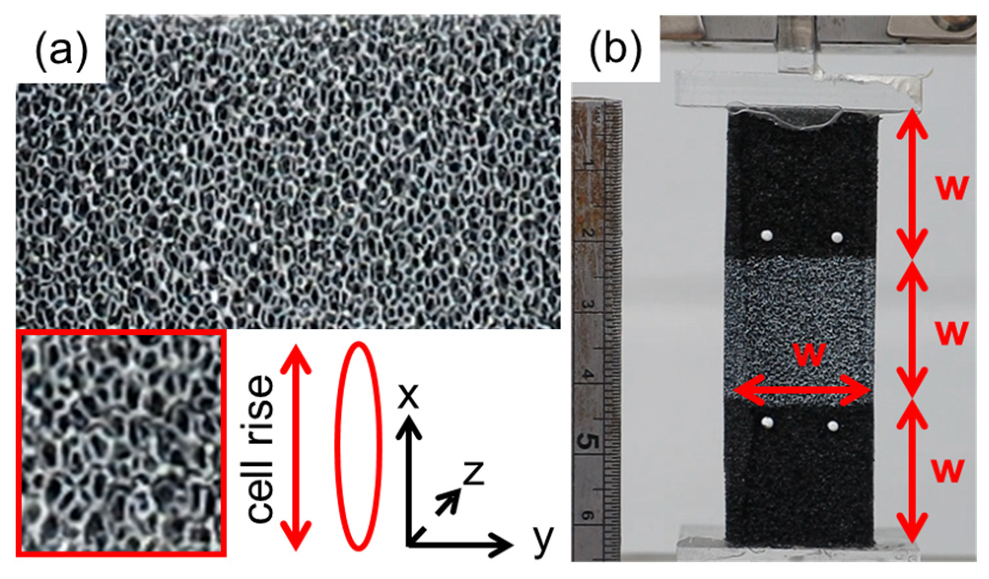 Proceedings 02 00250 g001
