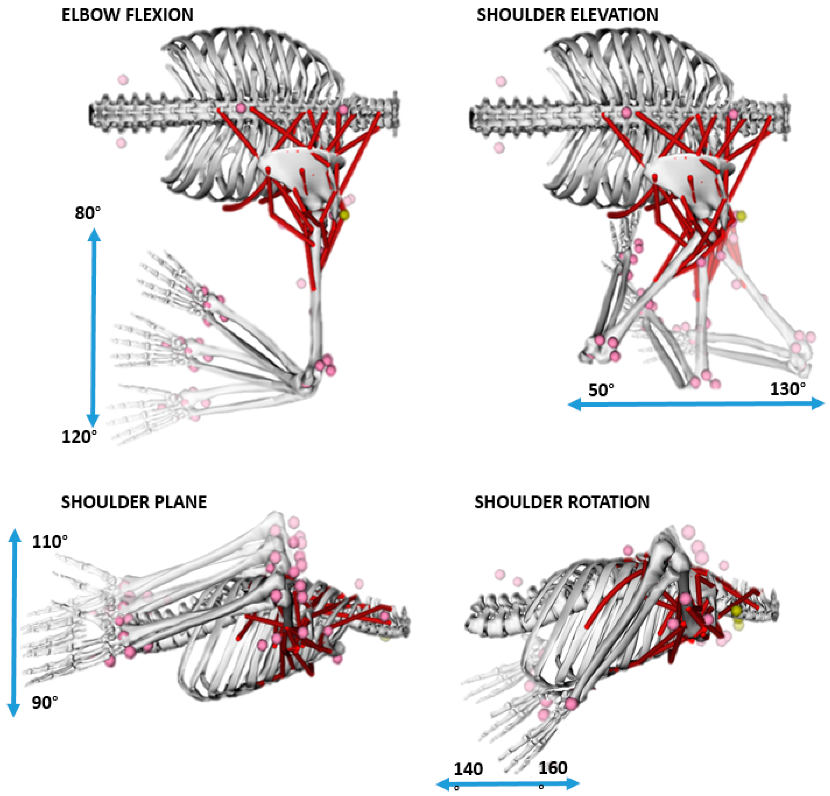 Proceedings 02 00255 g001 550