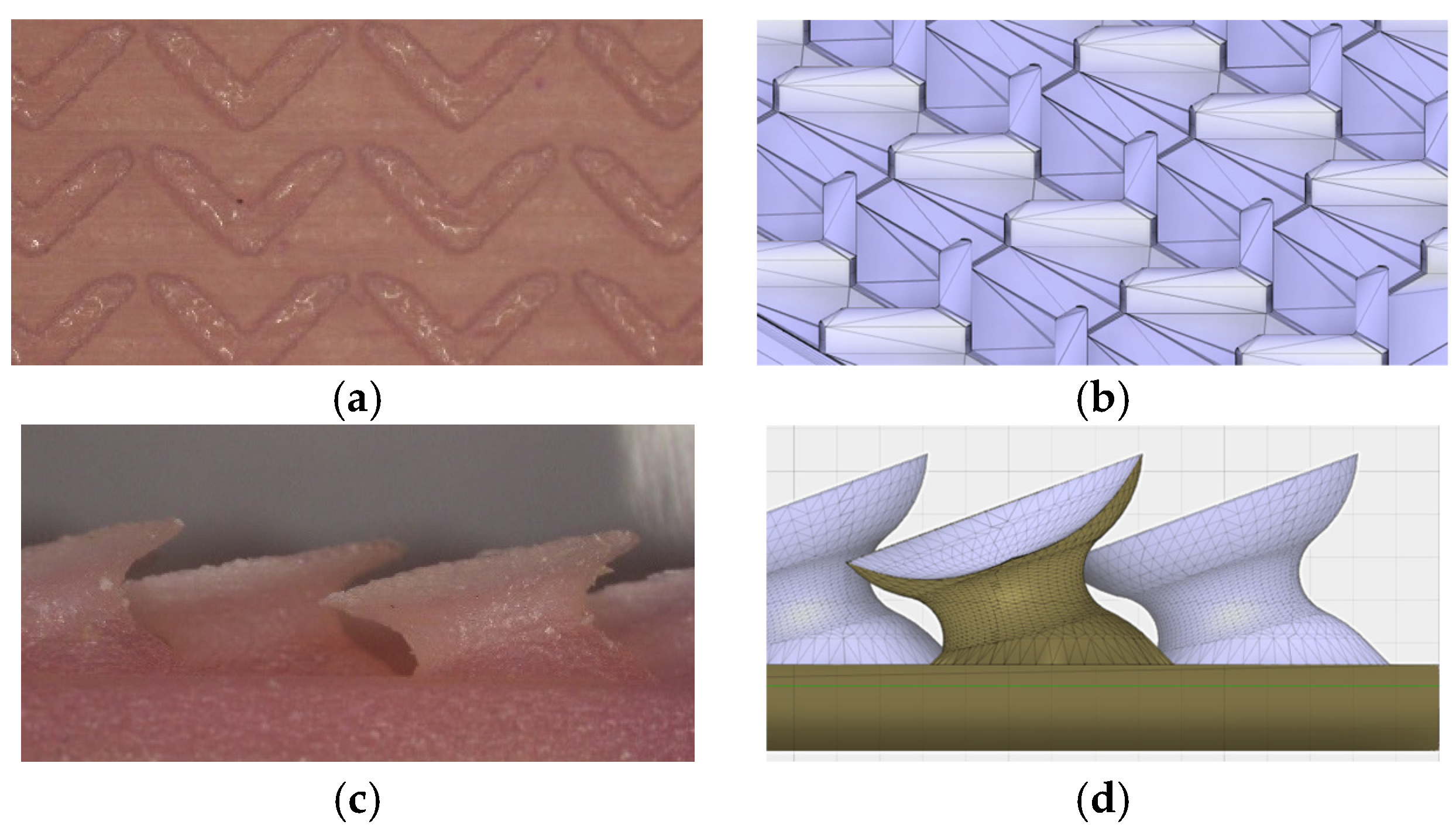 Proceedings 02 00261 g001