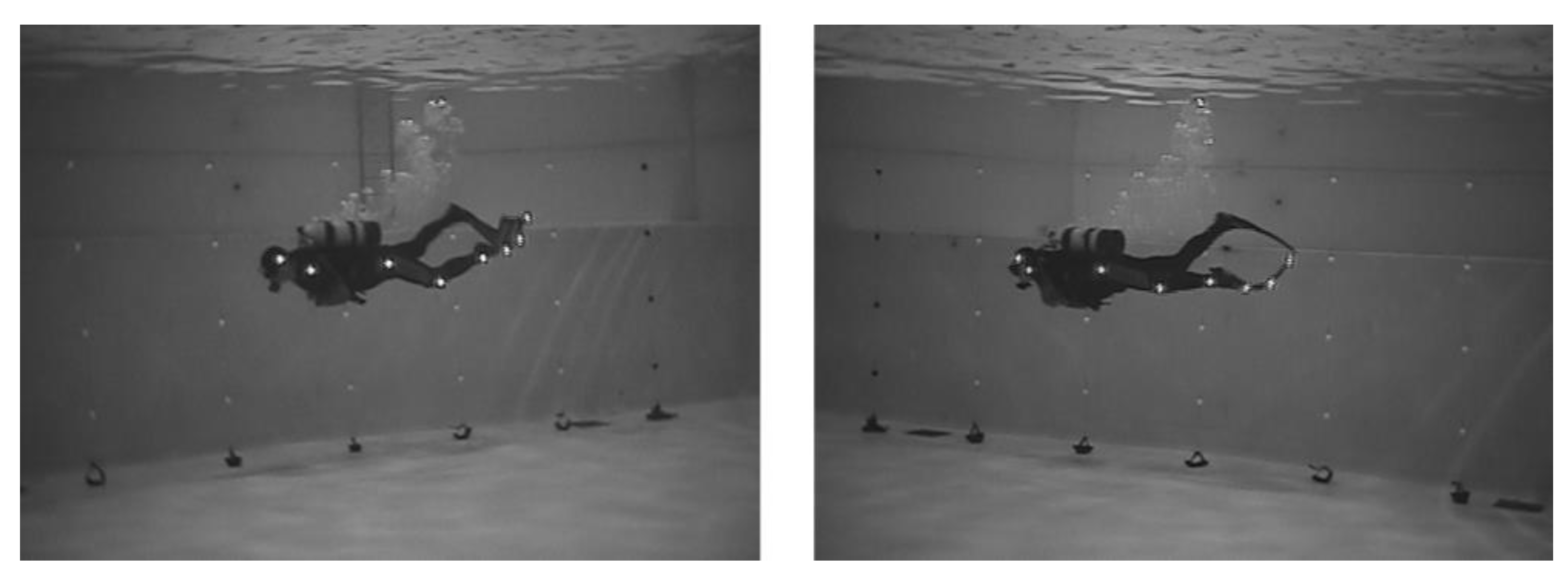 Proceedings 02 00288 g004