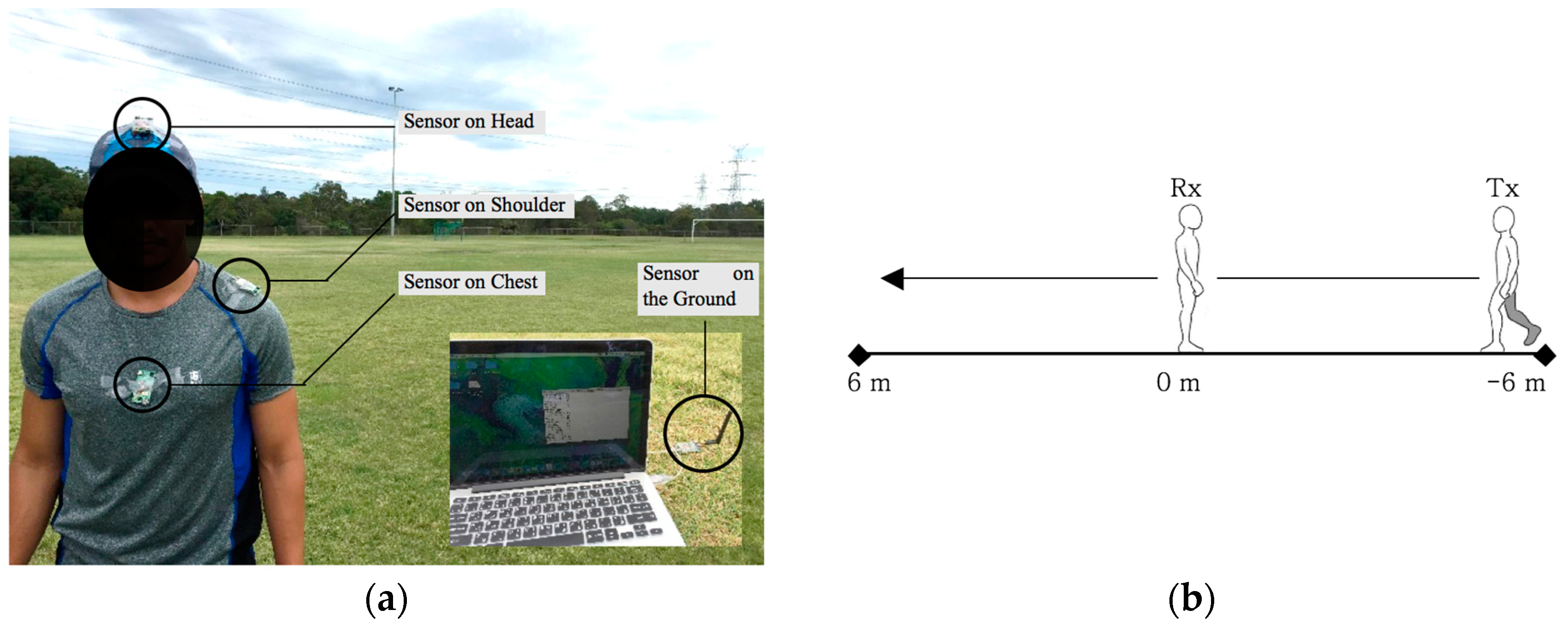 Proceedings 02 00291 g001 550