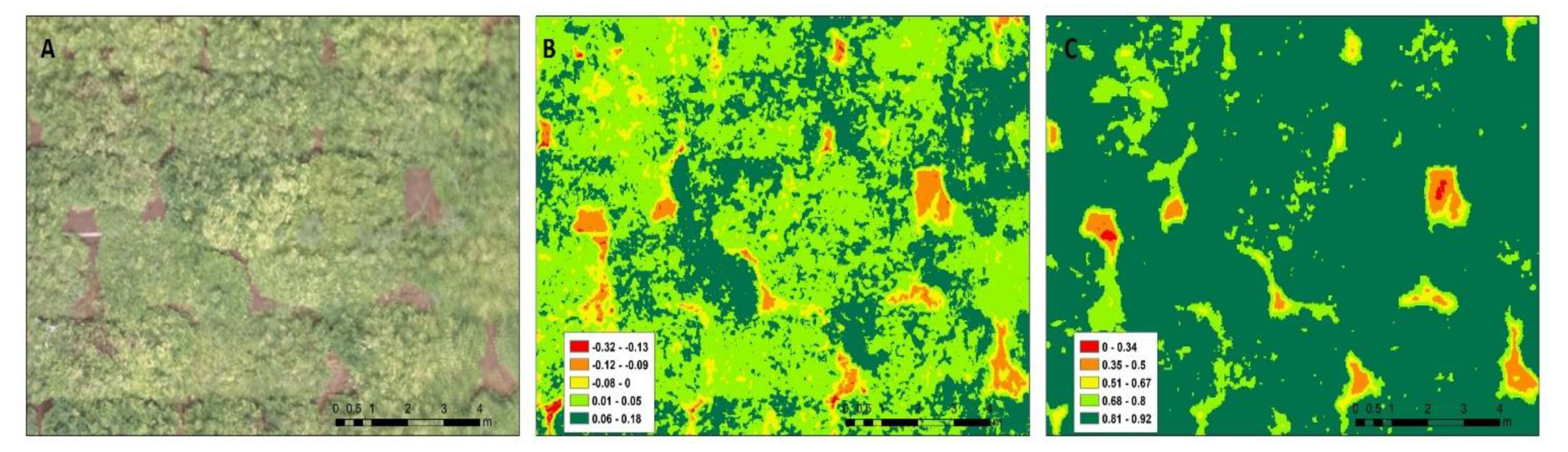 Proceedings 02 00335 g002