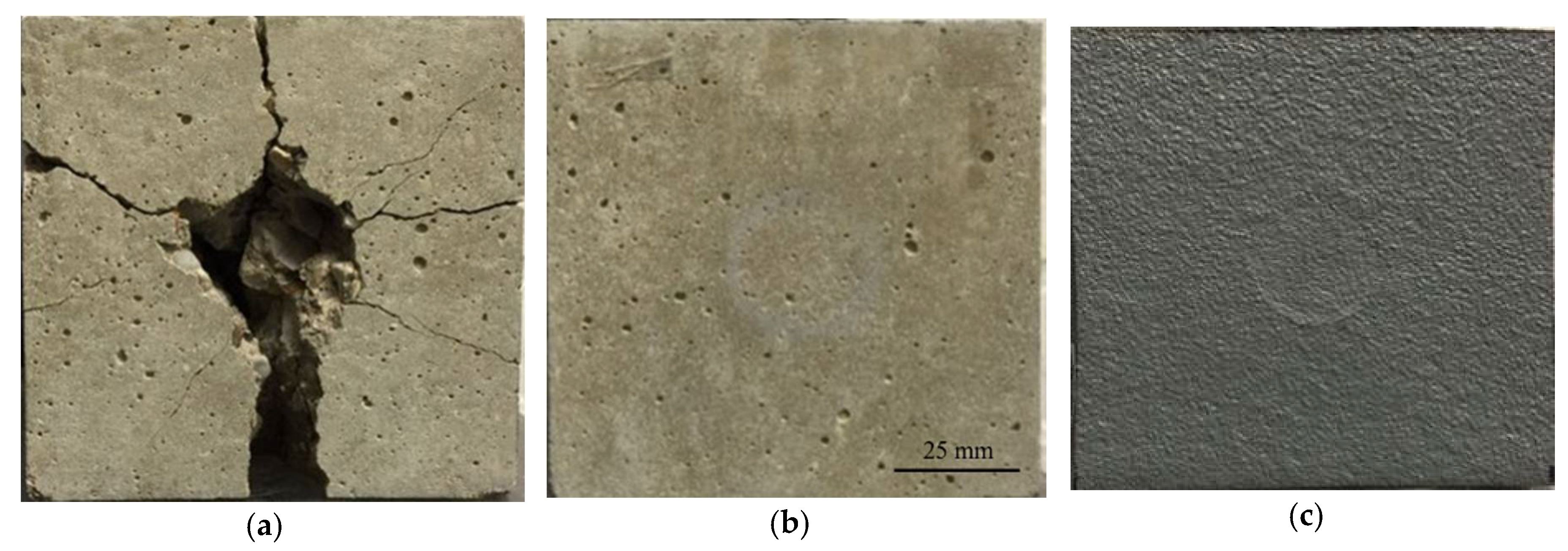Proceedings 02 00387 g001