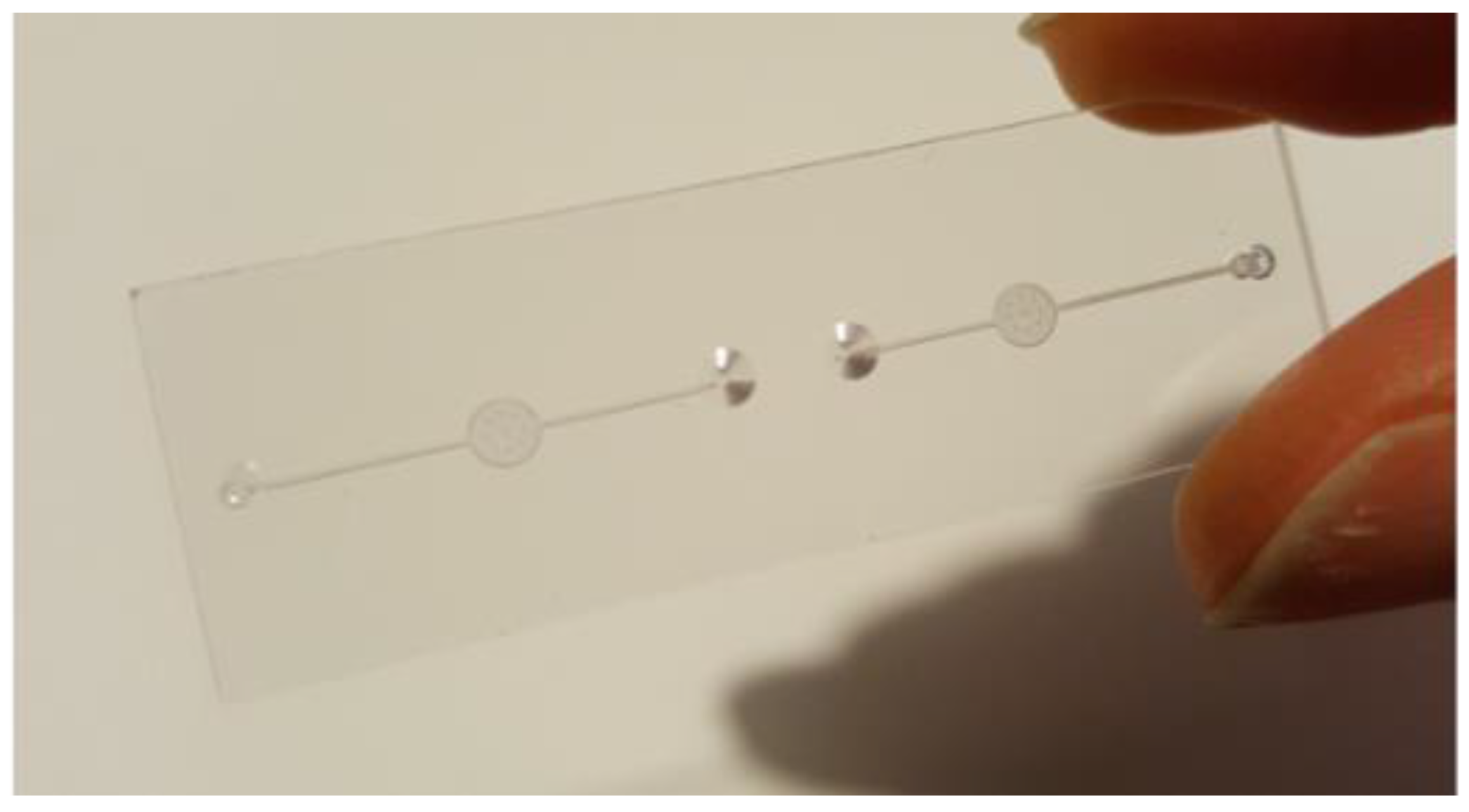 Proceedings 02 00390 g001 550