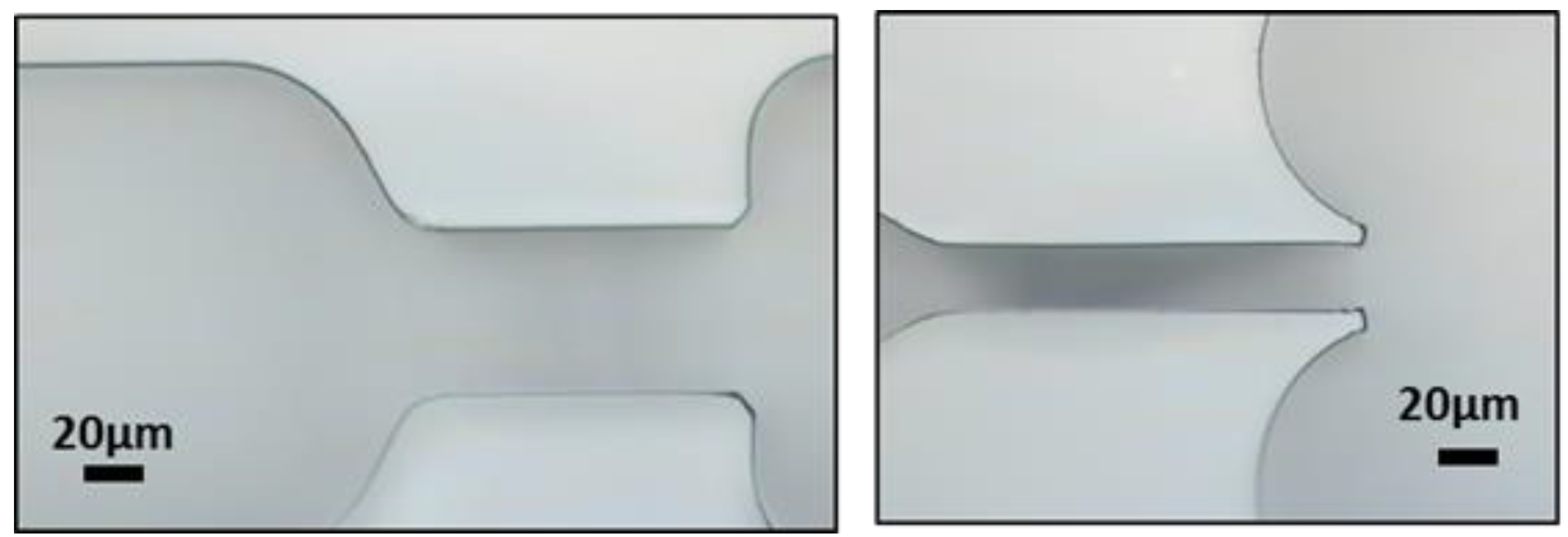 Proceedings 02 00390 g006 550