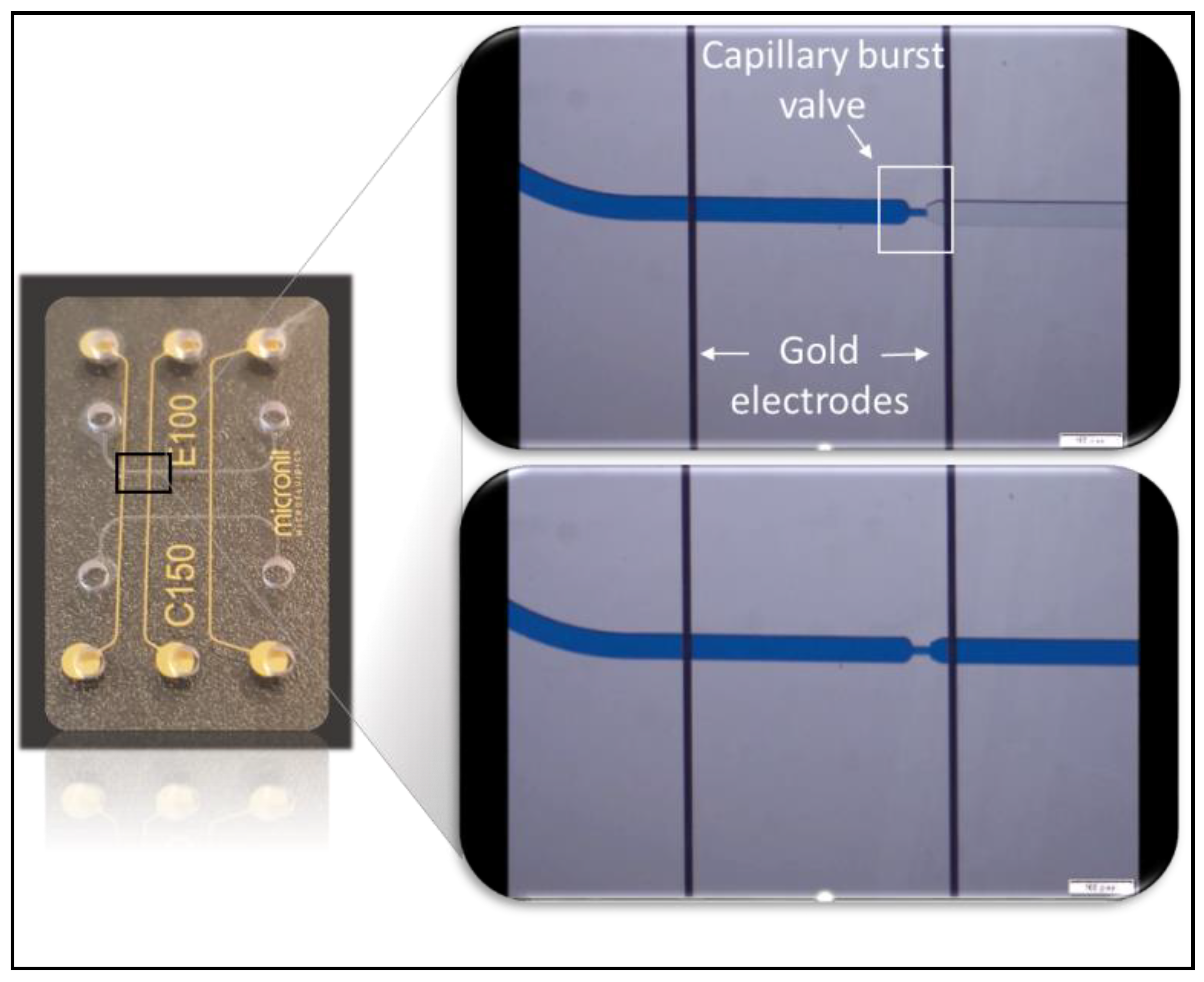 Proceedings 02 00390 g007 550