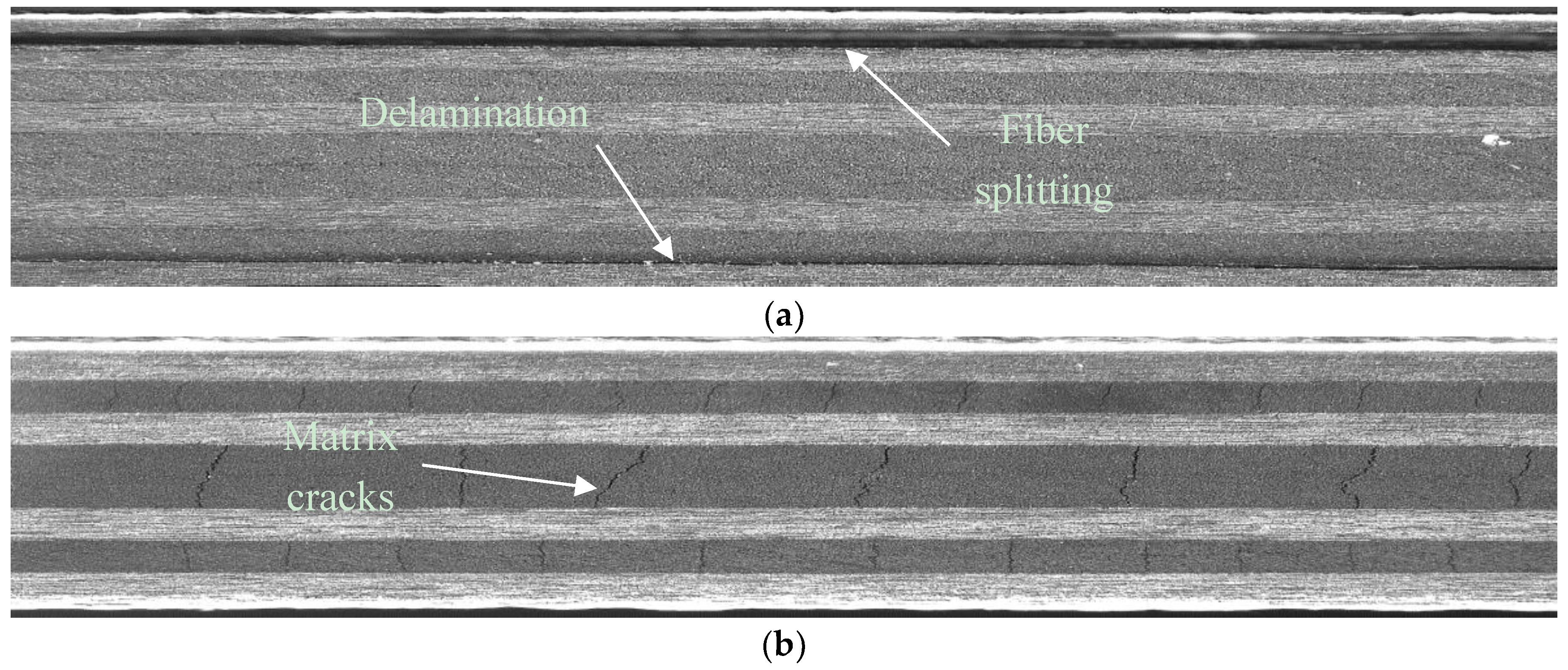 Proceedings 02 00392 g001 550