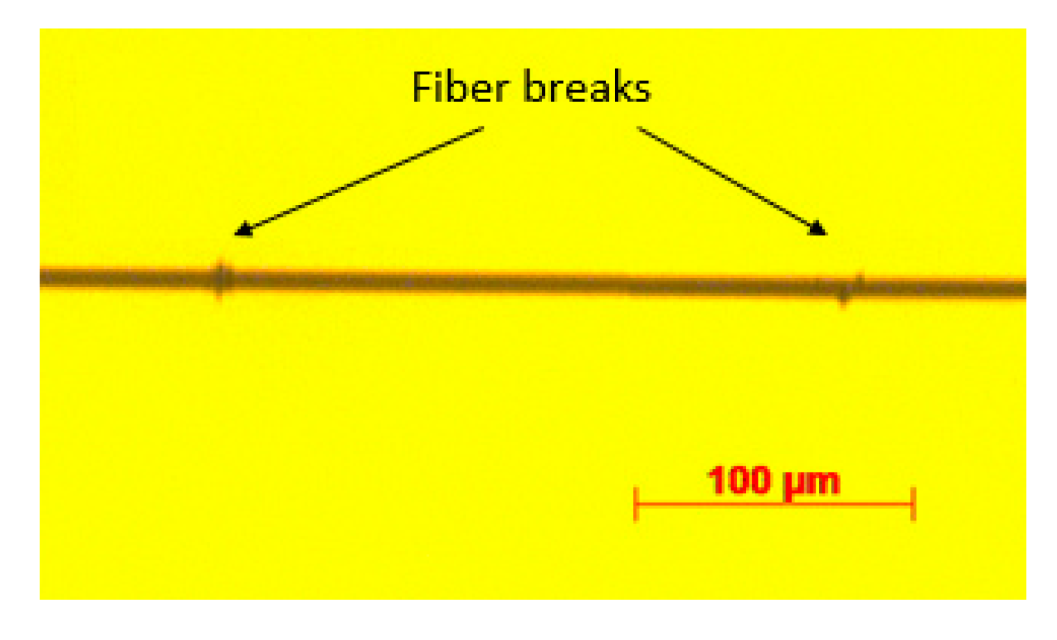 Proceedings 02 00394 g004