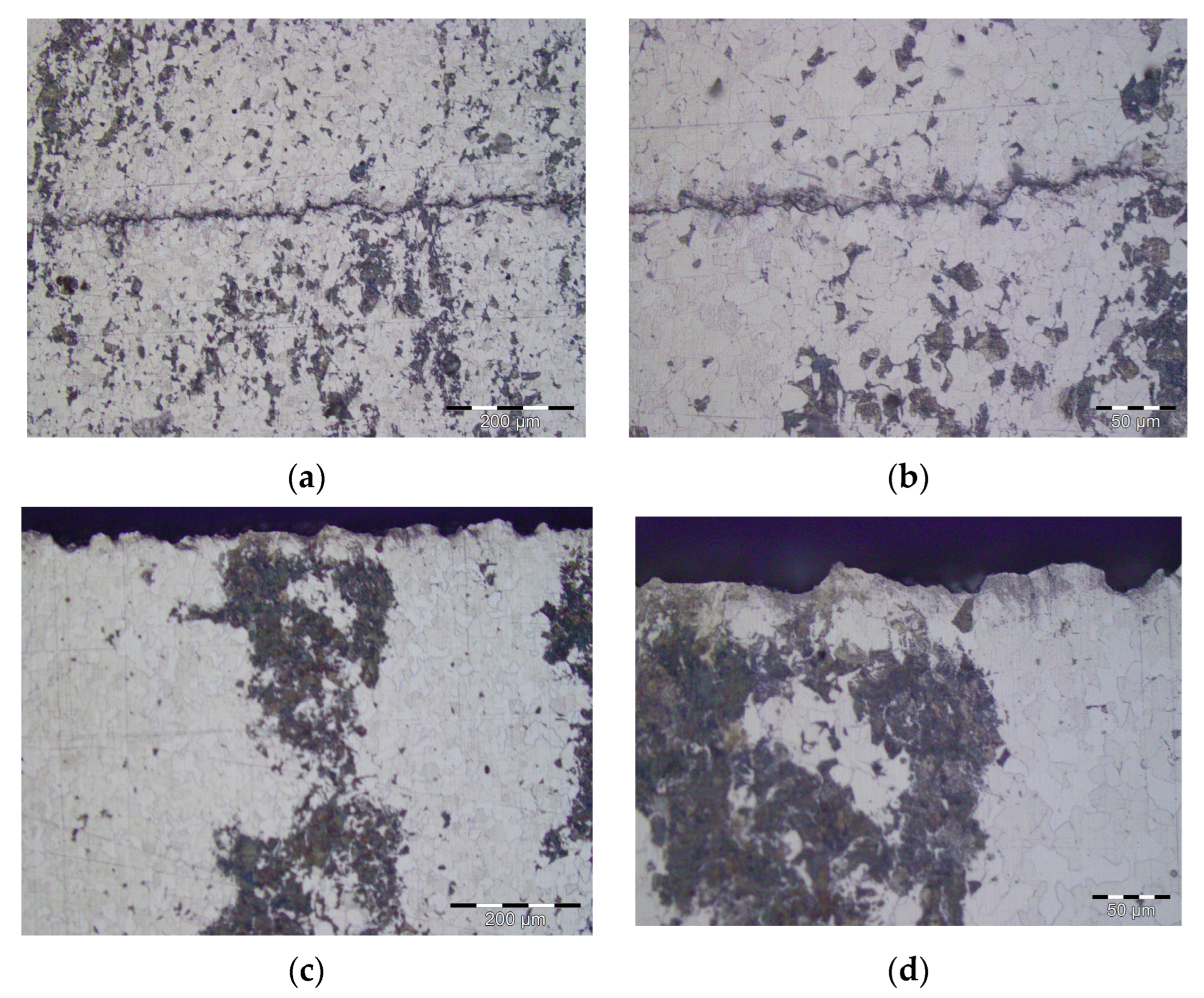 Proceedings 02 00470 g004