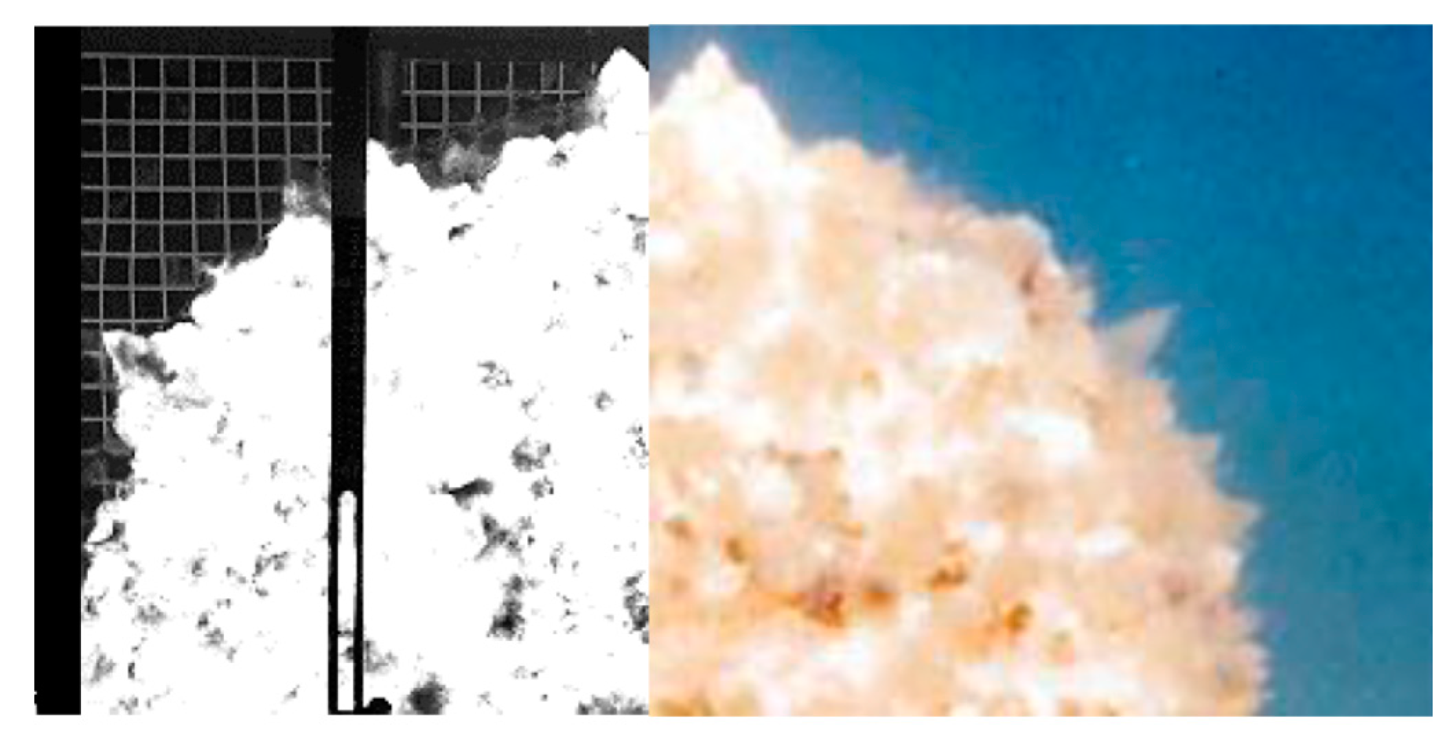 Proceedings 02 00471 g004 550