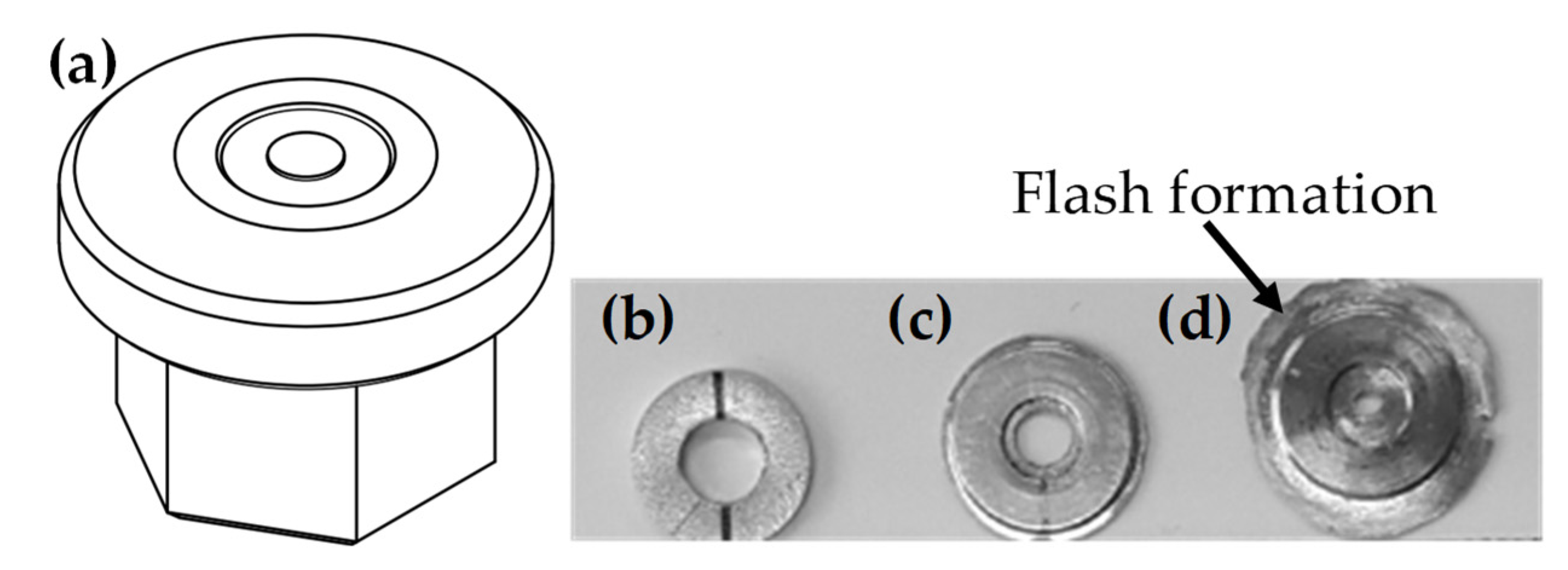 Proceedings 02 00493 g002