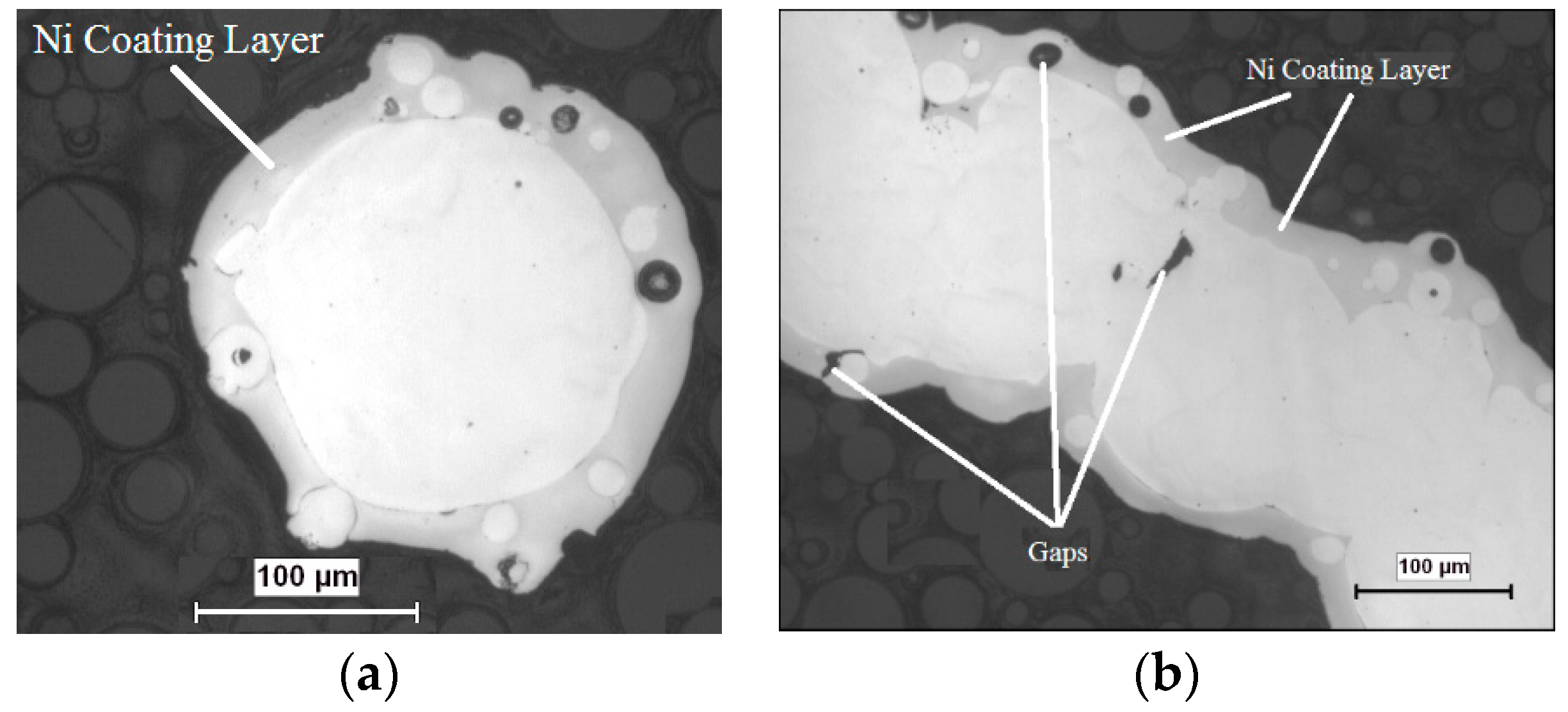 Proceedings 02 00494 g001
