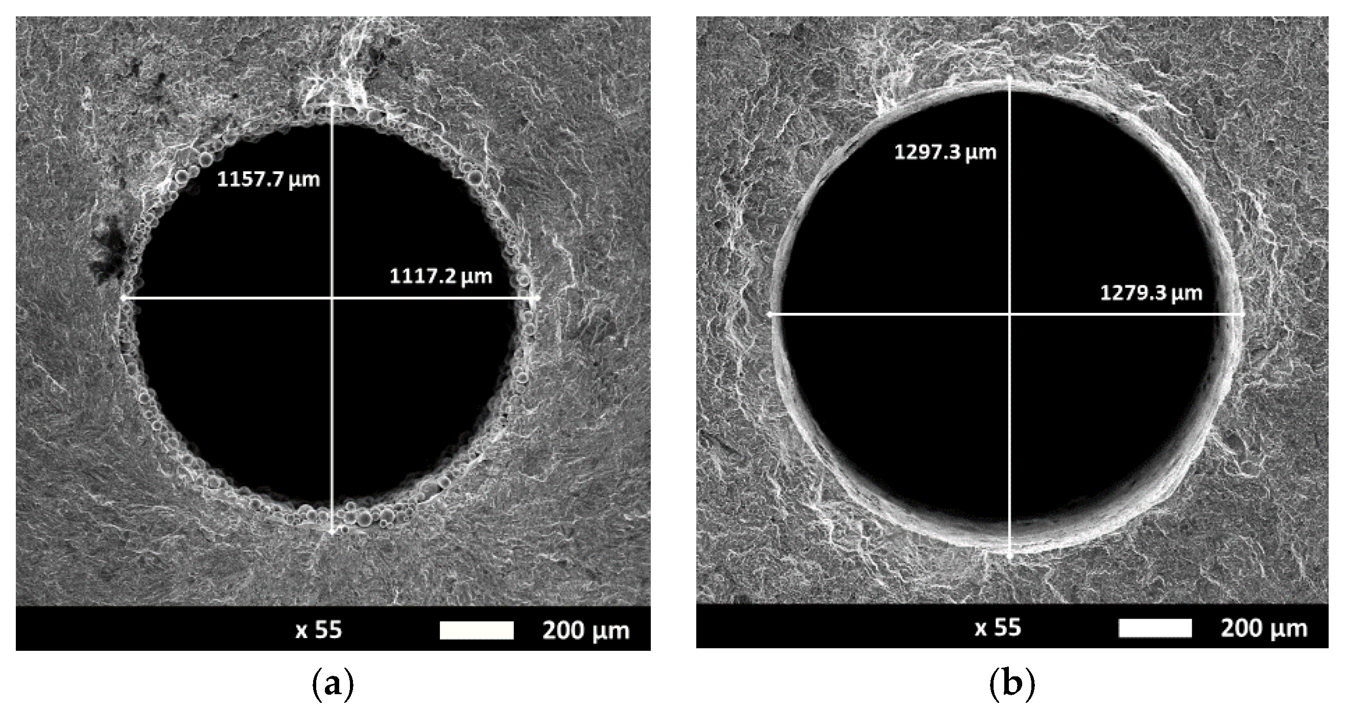 Proceedings 02 00499 g003