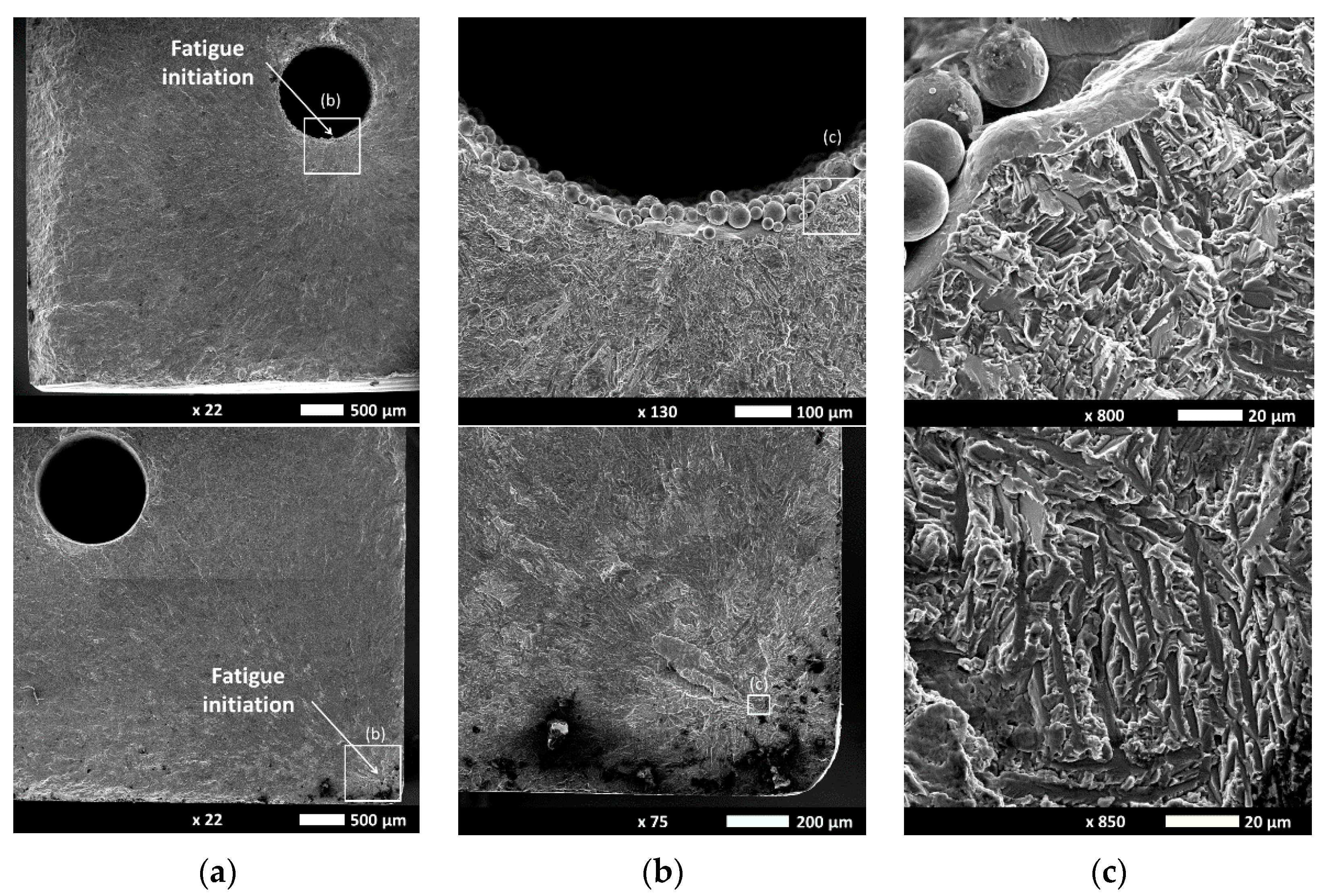 Proceedings 02 00499 g004