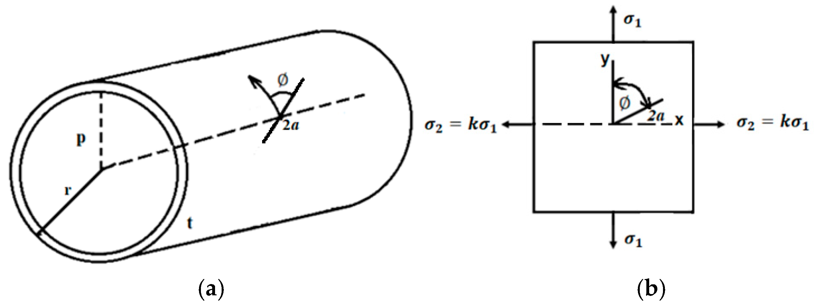 Proceedings 02 00517 g001